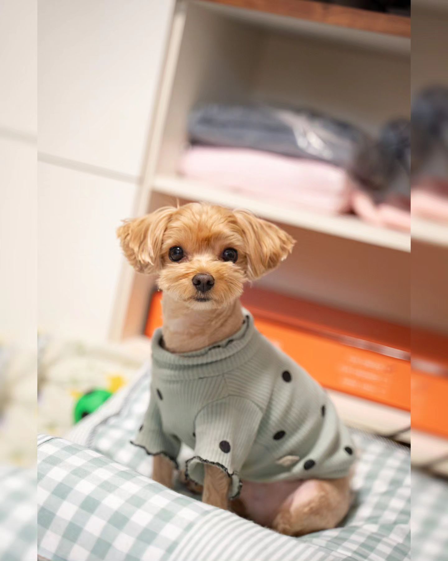 산다는 거 참 쉽지않네요
가지고 싶어 손내미는 곳은 저만치에 있고
닿지 않는다.

한번만 닿으면 될 것 같은데
도저히 그 한 번이 안이루어진다

아마, 저만치의 거리가
내 입장에서의 저만치이고
반대쪽에선 시선조차 안주는 곳이 아닐까
살짝만 뻗어주면
닿을 수 있을텐데..
