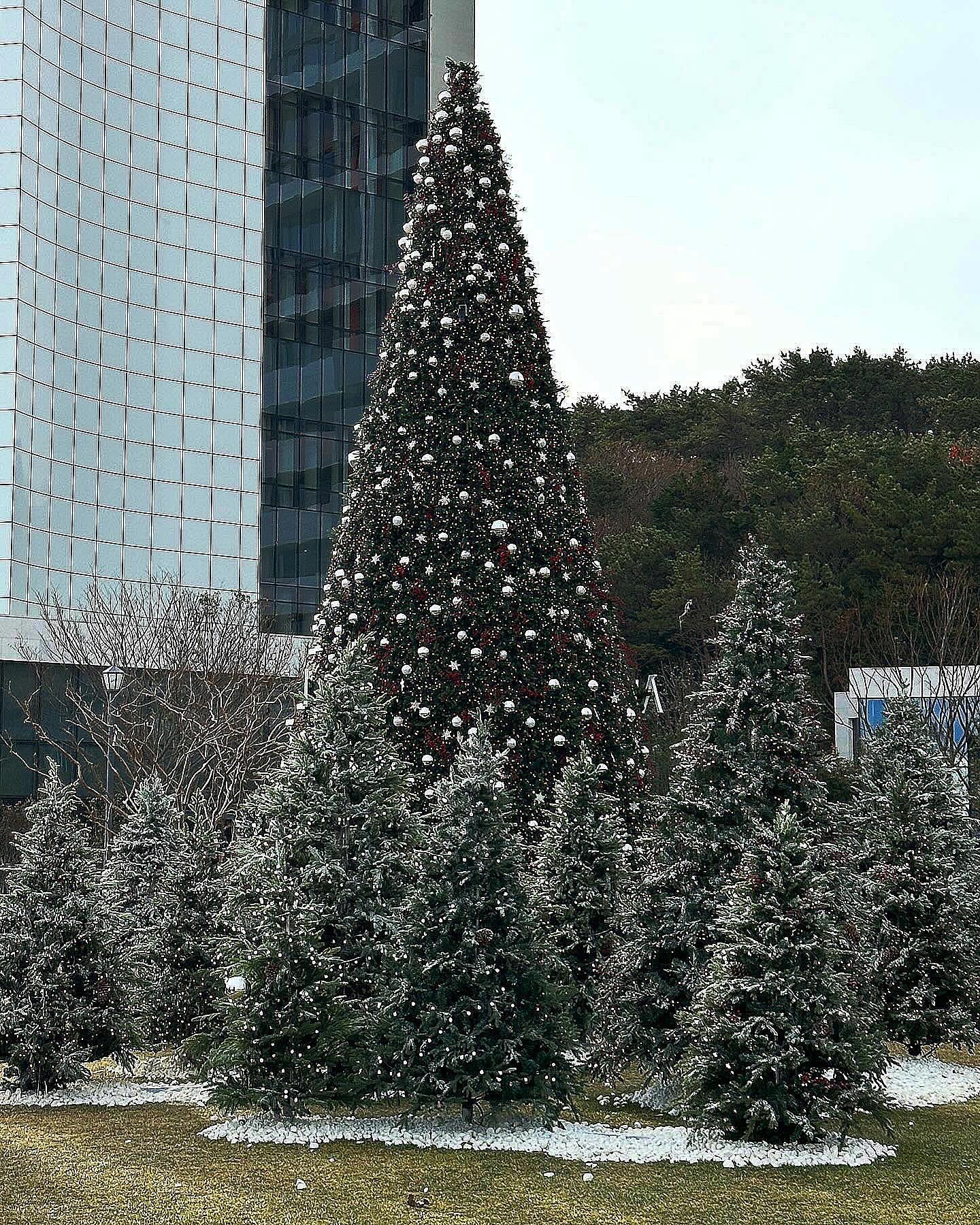 크리스마스트리 보여주러 다녀왔는데 
써니랑 둘이오고싶었다 🫨
30개월 18개월 자꾸 분리되고 집중 안되고 목소리 점점 커짐…
크리스마스 여행 잡아둔거 취소해야하나 잠시 고민했다 
잘해라 얘들아
그리고 트리는 너무 이쁘더라.. 🌲
#빌라드쥬아난티#아난티크리스마스
23.12.9-10 
리안51 리리21 번째 여행