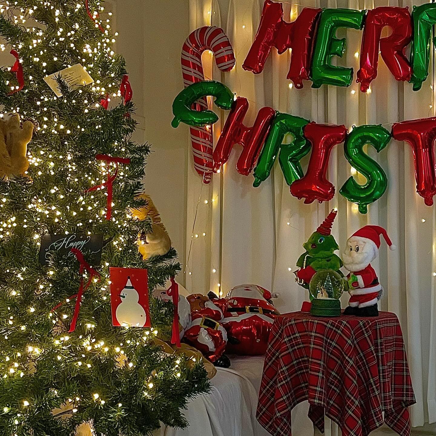 #메리크리스마스 #홈파티 #귀여운 #다람쥐 #크리스마스카드 #딸기산타 #잔든옌 #뭉치 #merrychristmas #🎄 #🎅