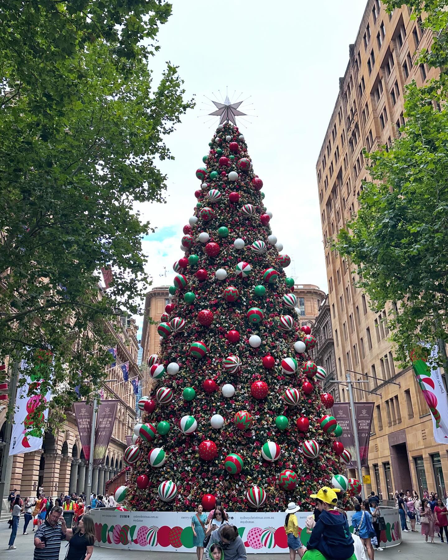 Merry Christmas!🎅🏻🎄
연말의 시작을, 12월의 첫날을 시드니에서 시작해서 
더 뜻깊은 2023.
한 여름의 크리스마스는 아니였지만
푸릇푸릇한 계절에 트리라니!
눈이 없는 크리스마스를 상상해 본적 없어서
더 신기했던 여행🤍

현실은 추운 겨울 속 크리스마스지만
눈 내리는 화이트 크리스마스!  낭만적이야🫶🏻

#해피크리스마스 #메리크리스마스 #화이트크리스마스 #솔로크리스마스