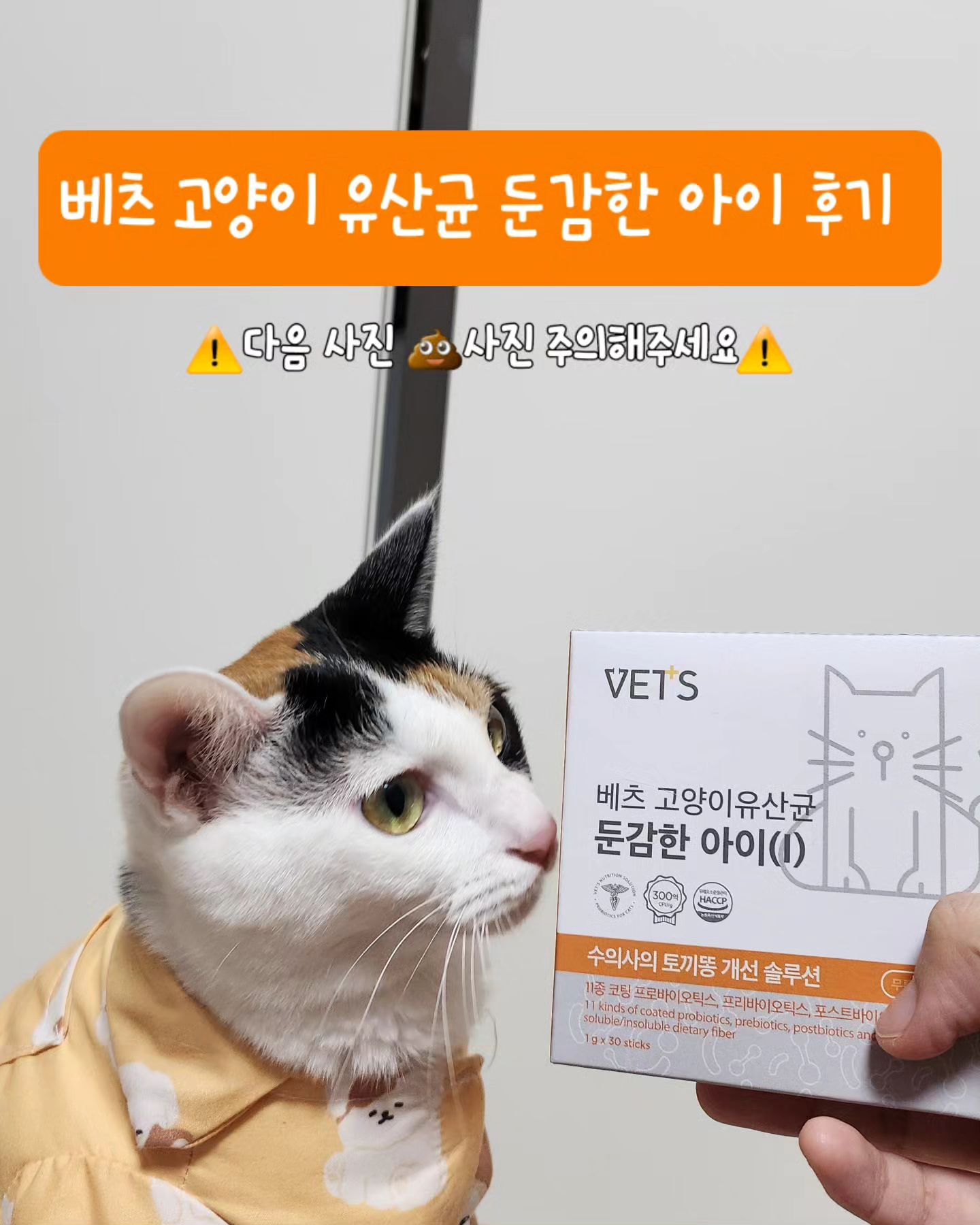 💗제품 제공💗#협찬  vets60
맑음이는 토끼똥이 좀 있는 편이었는데요! 밥 양도 늘려보고 습식 먹을 때 물 살짝 추가해서 줘도 크게 달라지는 점은 없더라구요~ 

그래서 선택한 [베츠 고양이 유산균 둔감한 아이]🧡
기호성이 안 좋을까봐 걱정했는데 그런 걱정 싹~ 날려보내게 너무 잘 먹더라구요😋 세번째 사진처럼 타입1과 타입2의 맛동산이었던 맑음이가 정상변까지 바뀌었어요ㅎㅎ
유산균만 찾아봐서 몰랐는데 베츠 여기 영양제로 잘 알려진 데더라구요⁉️ 영양제로 유명한 베츠에서 신제품으로 나온 고양이 유산균이라니 너무 믿음이 뿜뿜하지 않나요!? 만드신 분이 수의사셔서 더욱 믿음이 가더라구요🫶🫶 

맑음이는 토끼똥이라 "둔감한 아이" 제품으로 먹었는데 설사하거나 무른 변 보는 친구들을 위한 "민감한 아이" 제품도 있으니 꼼꼼하게 상세페이지 보시고 구매해보세요🧡

#고양이유산균
#고양이영양제
#고양이설사
#고양이무른변
#고양이필수영양제
#베츠