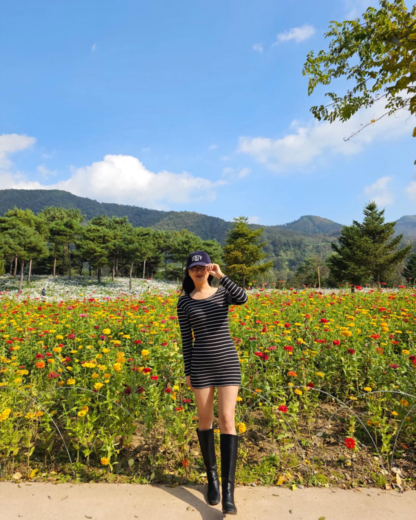 저번에 한번 공구했던 자유다방 오일에이드가 
반응이 정말 뜨거웠는데요!
이번에 새로운 맛이 출시되었다고해서 
공구 2차로 진행하기로 했답니다 !!>_< 

이번엔 새로나온 모로오렌지와
기존에 제일 인기 많았던 청포도 
이 두가지 맛만 재진행 합니다 !

아무거나 공구하지 않아요.
제가 직접 먹어보고 효과 대박인걸로 
가져왔답니다. 

이미 첫 공구때 드셔본 분들은 효과 만점인거 
다들 말 안해도 아실거예요 :)

🍊🍊🍊🍊🍊🍊🍊🍊🍊🍊🍊🍊🍊
제 공구 제품 구매하시면 
오렌지 수세미 1개 증정이벤트까지 진행중이예요!!
🍊🍊🍊🍊🍊🍊🍊🍊🍊🍊🍊🍊🍊

가르시니아 HCA 함유 → 체지방 감소 기능성이 뛰어난 제품이예요 ! 
난소화성말토덱스트린(수용성 식이섬유) 청포도맛 5,000mg 함유되어 배변 활동을 원할하게 도와줍니다

건강기능식품임을 인정 받은 제품이예요 
이번 신상 모로오렌지가 청포도보다 더맛있다는🧡 

⭐️5일에이드클렌즈는 배변 원활을 돕는 제품이에요. 
드시고 2~3시간 동안은 외출을 삼가해주시기 메모!!!! 
가능하시다면 위에 설명드린대로 저녁시간대에 섭취하시는 걸 추천드립니다. 

배변활동이 필요하거나
급찐급빠 다이어트 필요하신분 !!!!!!!

네이버 최저가
 - 1박스 24,700원
 
 [네이버쇼핑](https://search.shopping.naver.com/catalog/27094686522) 

📌공구가(최저가 대비 -23.4% ~ -34.8% 할인)
 - 1박스 23.4%할인 (24,700원 → 18,900원) 무료배송
 - 3박스 28.7%할인 (74,100원 → 52,800원) 무료배송
 - 5박스 31.3%할인 (123,500원 → 84,800원) 무료배송
 - 9+1박스 34.8%할인 (247,000원 → 161,000원) 무료배송

제품 상세정보는 아래 공식 홈페이지를 
참고해주세요!

https://smartstore.naver.com/freedomcafe/category/ebbafe95a68e4cd0a6f6525be5201f76?cp=1