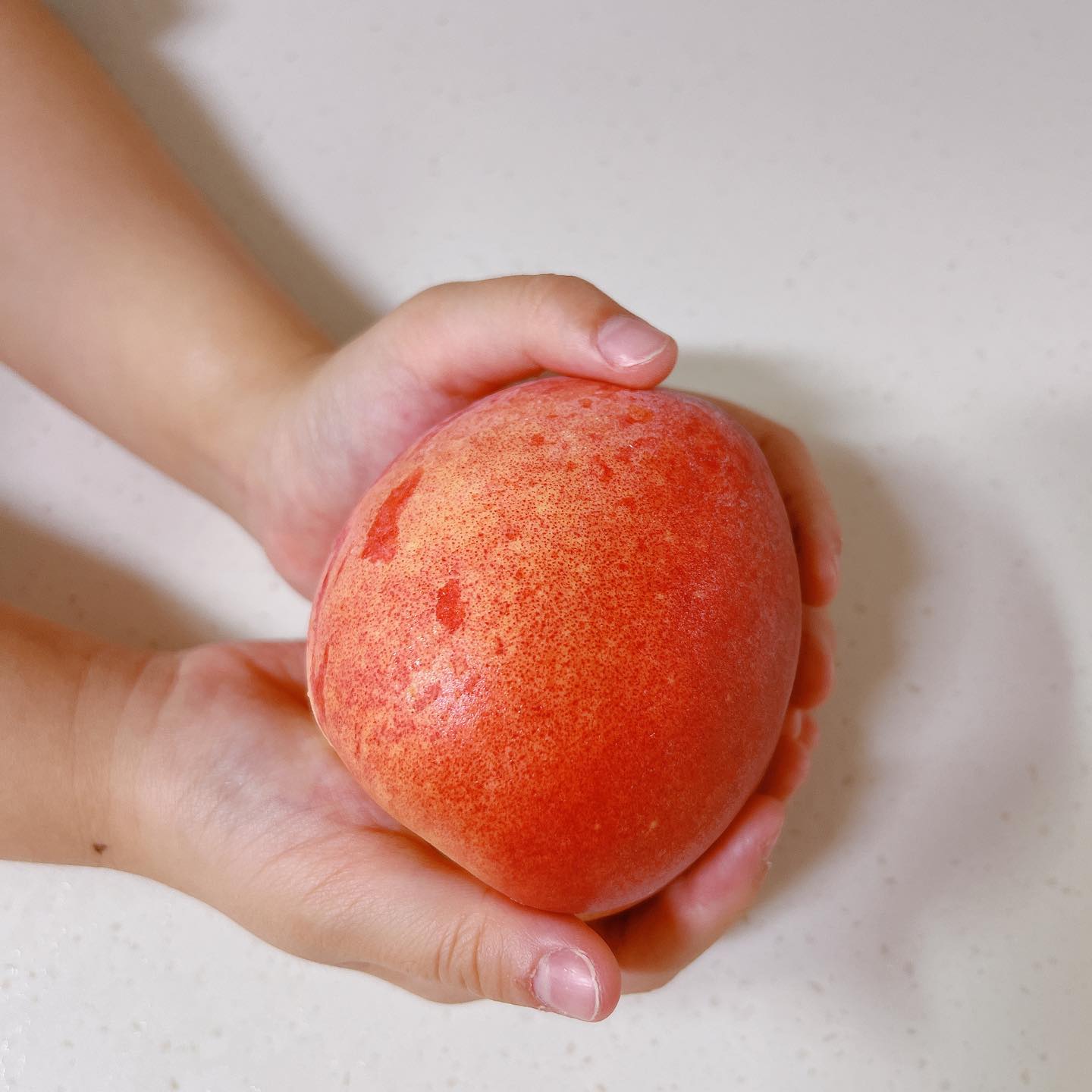 healthy_seggi 

임산부 때 그나마 잘 먹을 수 있었던 음식 중 하나
‘ 복숭아 ’ 그래서일까? 리아도 복숭아를 정말 좋아해요 🍑

올해 첫 신비복숭아를 시작으로 말랑이복숭아 황도까지!
향이 너무 달달하고 모양도 예쁜데,
입 짧은 리아가 통으로 잡고 뜯을(?) 정도인 복숭아
과즙도 풍부해서 한 입 베어 물면 얼마나 맛있는지 몰라요

배송받자마자 씻어서 먹었더니 아삭과 말랑사이 - 
하루 ~ 이틀 후숙하면 당과 향이 더 올라간다고 하니
엄청나게 기대되는데요 🫶🏻

사실 직접 보고 구매해도 맛을 알기 어려운 게 과일이잖아요?
그리고 온라인상으로 구매할 때 똥손이라 그런지
실패한 적이 많아서 걱정이 많았는데, 건강한 세끼로 성공!
사장님께서 직접 먼 거리에 있는 농가까지 방문해서
하나하나 따져보고 선별해서 가져오는 상품들이라 믿음 👍🏻

올해 복숭아 건강한 세끼 하시는 건 어떨까요? 강. 추

#건강한세끼 #건강한세끼복숭아 #말랑이복숭아 #황도 #복숭아맛집 #복숭아맛집추천