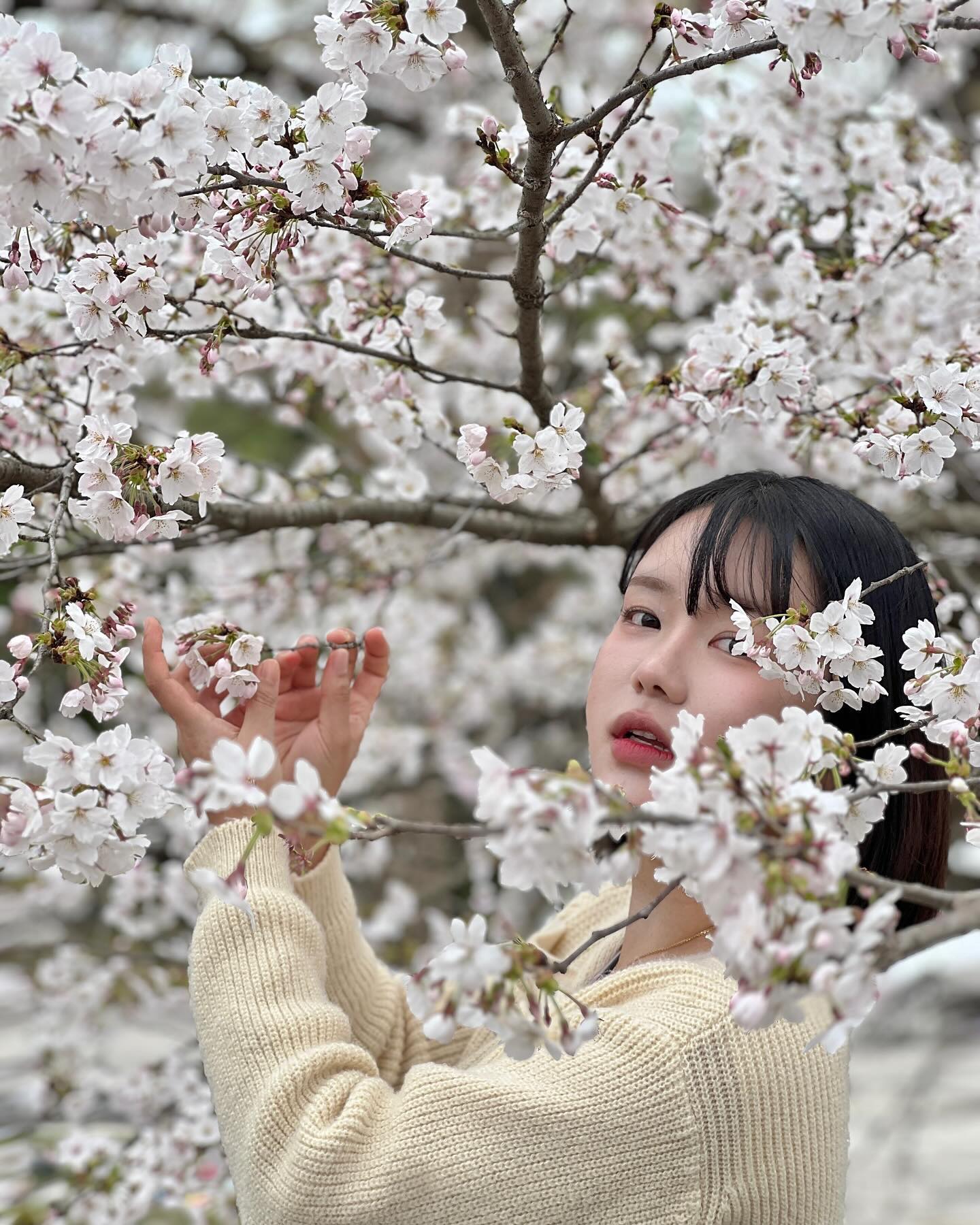 꽃 속에서 기선이 찾기
