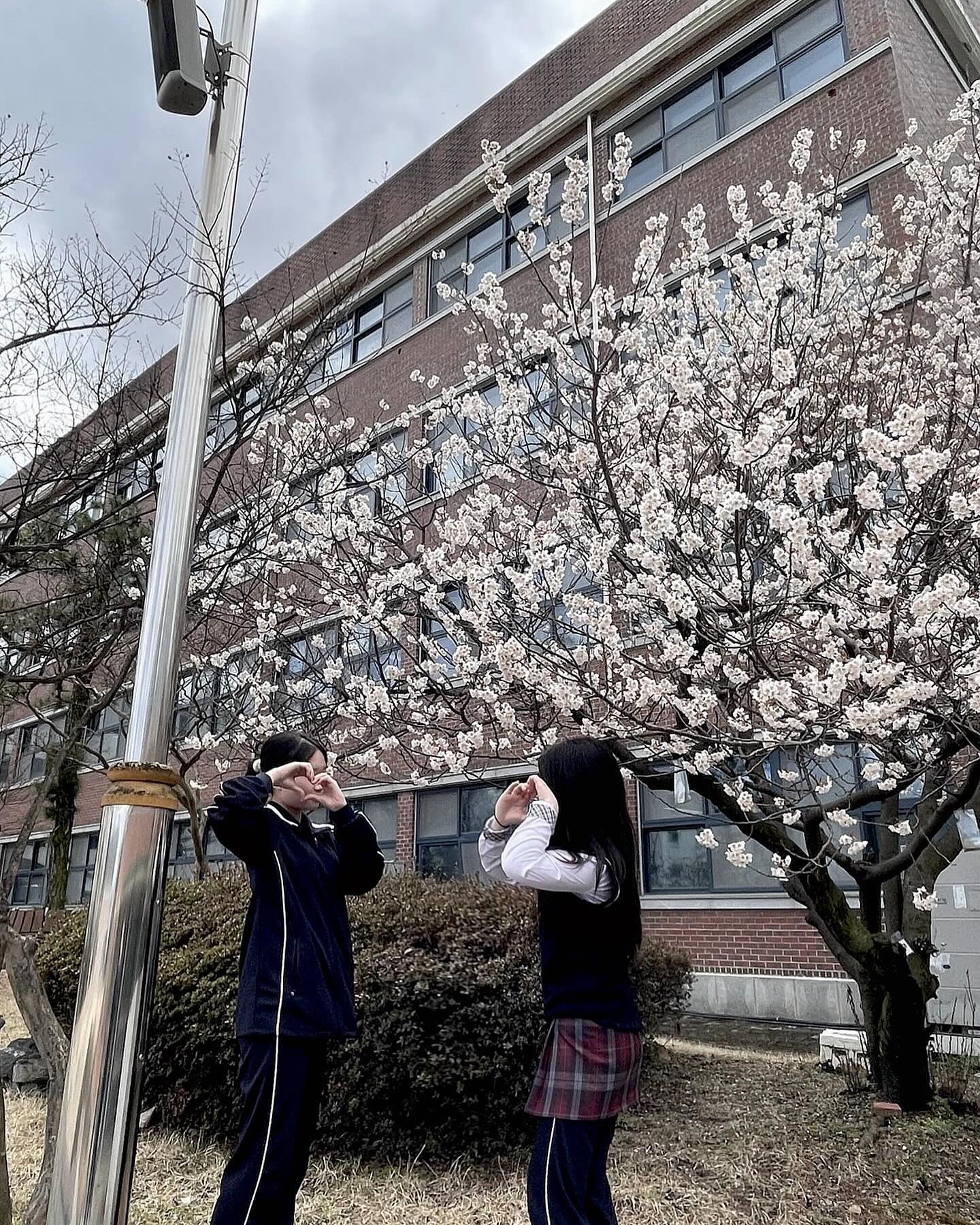 콘텐츠