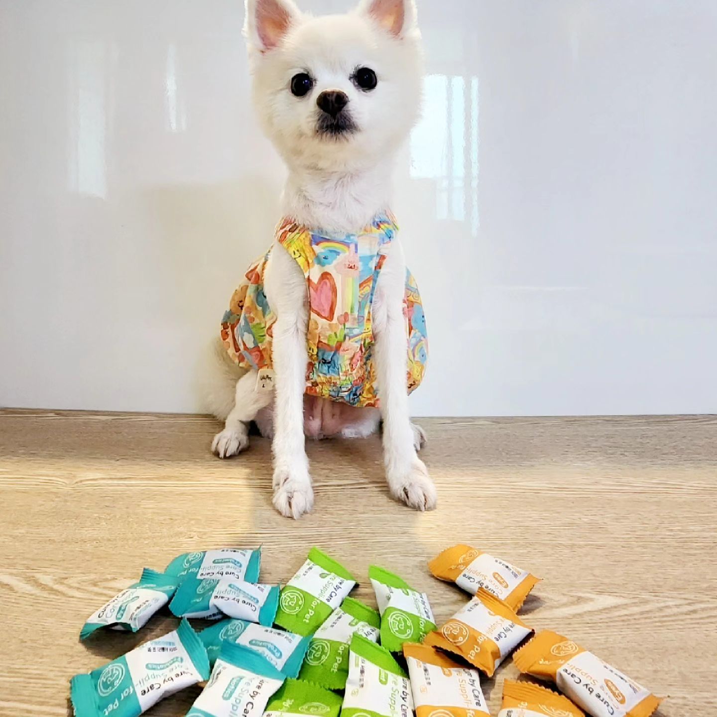 [Cure by Care]
🐶쌍둥이네🐶의 새로운 영양제 간식!

🦴조인트(관절), 👀아이즈(눈), 🥛프로바이오틱스(활생균)

▪︎급여가 쉬운가?⭕️
▪︎개별포장으로위생적인가?⭕️
▪︎거부감 없이 먹일 수 있는가?⭕️
▪︎퍼피도,노령견도 쉽게 먹을 수 있는가?⭕️
▪︎작은 크기에 영양소를 꽉 채웠는가?⭕️

노령견에 접어드는 우리 아이들도 편하고 가볍게 먹이기 좋은 소프트한 식감의 영양제에요! 💊
크기는 손가랑 한마디 정도 되는 크기에 간식 특유의 비릿한 냄새가 나지않아 좋았어요.
아이들 몸무게 마다 급여량은 다르겠지만 저희집은 한개씩 급여했답니다☺️
모든 아이들에게 중요한 것만 쏙쏙 만들어주셔서 이곳저곳에서 따로 구매하지 않고 한번에 구매 할 수 있을거같아 너무 좋아요🥹
관절, 눈, 장 까지 한번에 한 곳 에서 관리가능한 영양제 이니 너무너무 체고야!🤗

#큐어바이케어 #코어서플리포펫프로바이오틱스 #코어서플리포펫조인트 #코어서플리포펫아이즈 #강아지영양제 #고양이영양제 #강아지유산균 #고양이유산균 #강아지관절영양제 #고양이관절영양제 #강아지눈영양제 #고양이눈영양제
