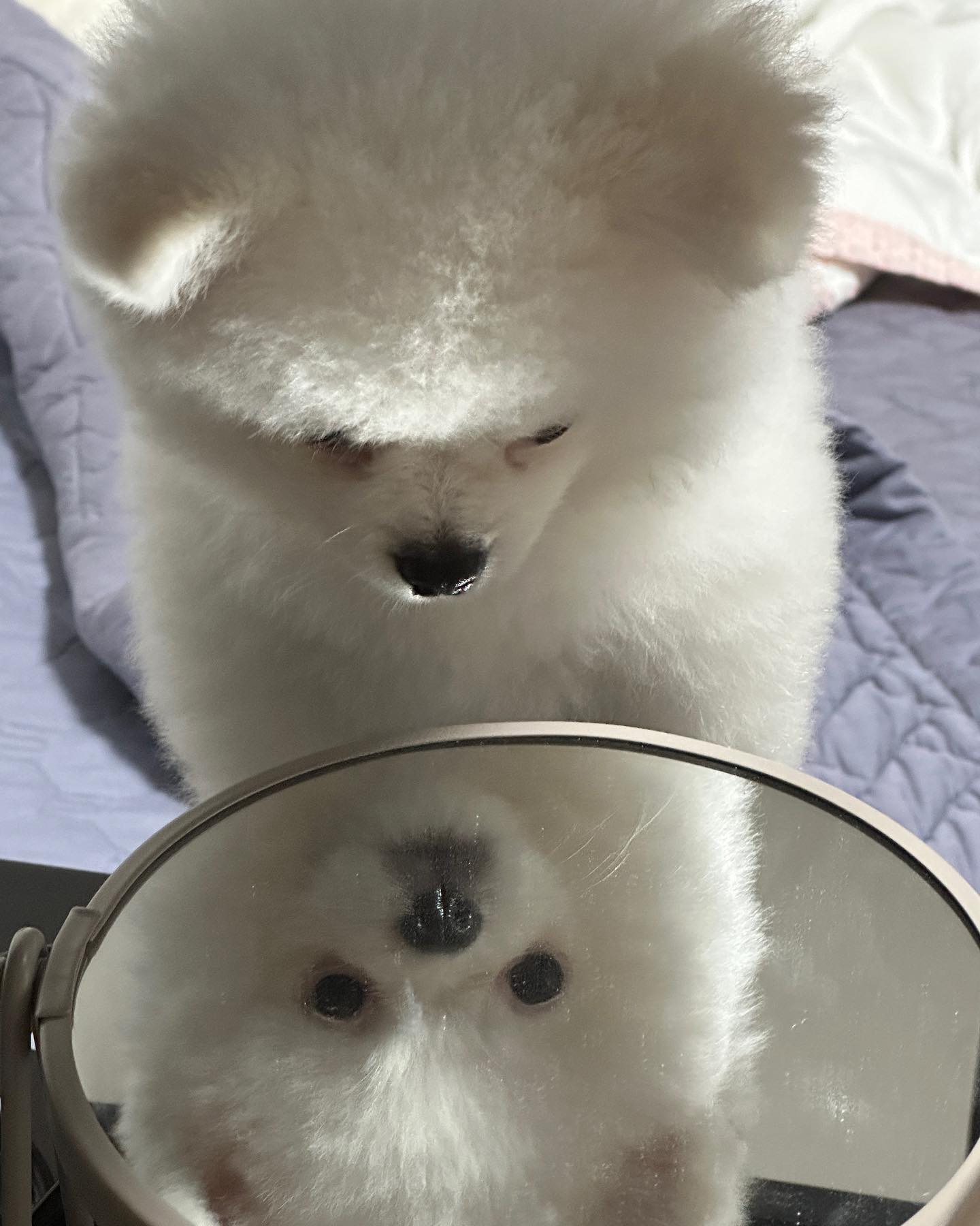 이게 .. 나라고 ?