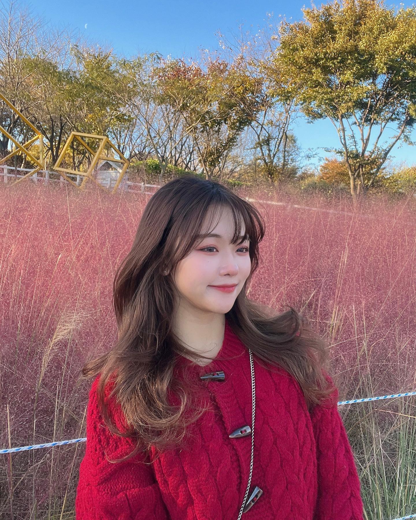 핑크뮬리랑 코스모스를 보게될쥴이야 행복이야☺️
.
.
#핑크뮬리 #가을여행 #충남 #충남여행 #예산 #예산여행 #231021 #여행스타그램 #아그로랜드