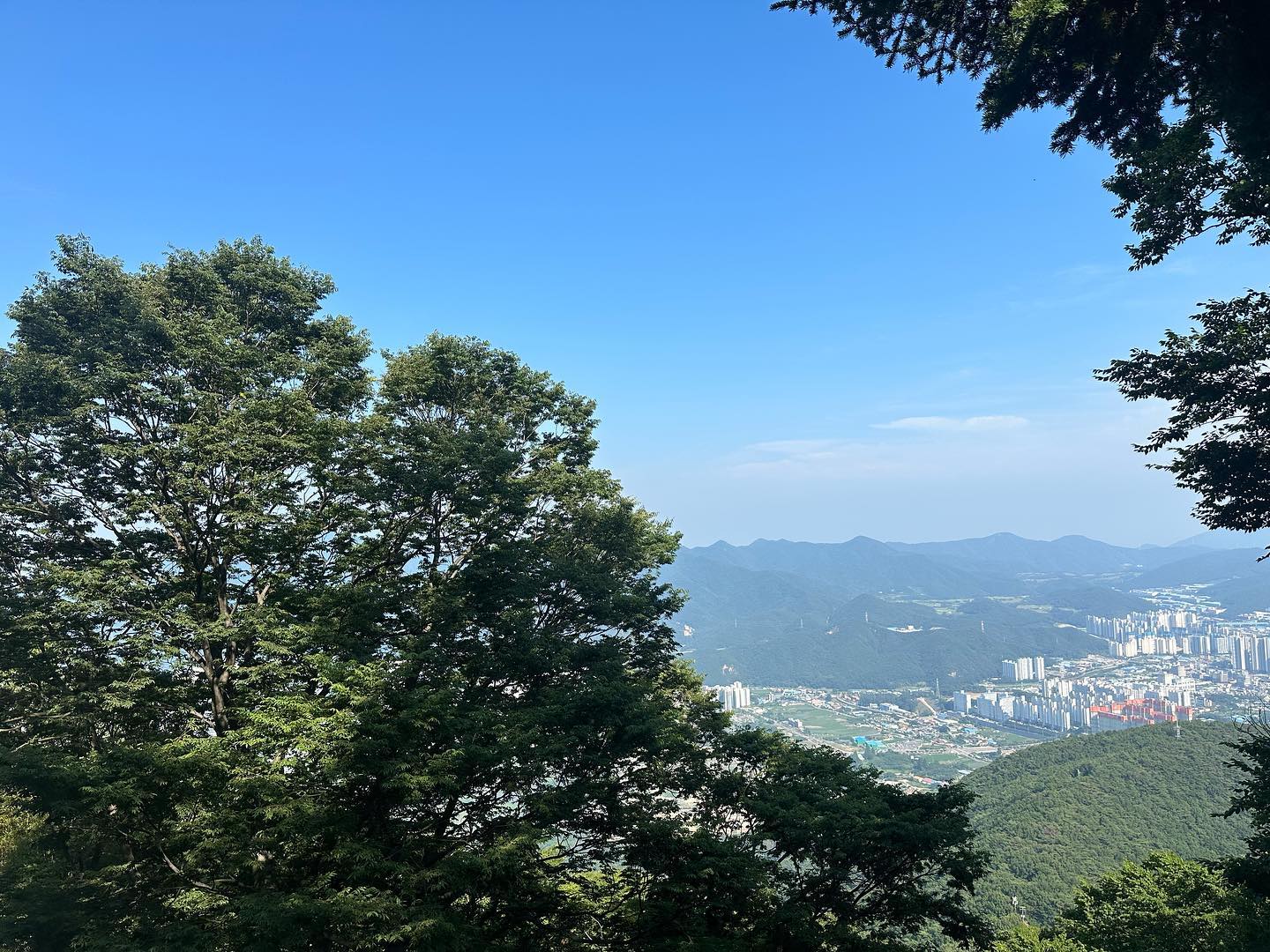 가을🍂