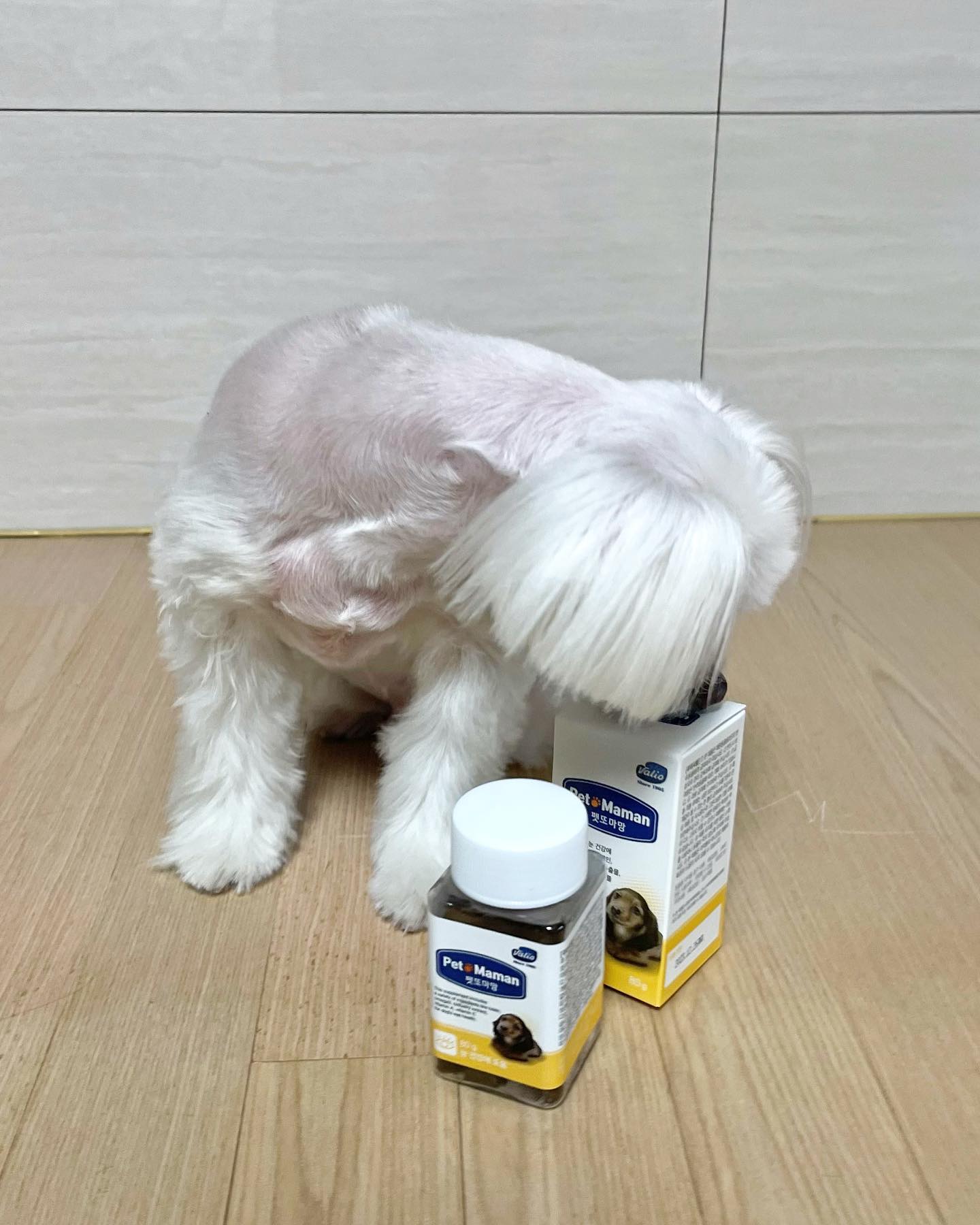 #협찬 

복실이가 #펫또마망 에서 눈건강영양제를 선물받았어요🥰

펫또마망 눈영양제 효능🤍
✔️루테인, 오메가3, 빌베리추출물 등 눈 건강에 도움을 줄 수 있는 원료 7종 함유
✔️건강하고 맛있는 반려견 영양제 (Human Grade 등급 / 안전한 성분 + 무첨가 5無 원칙)
✔️유당분해능력이 없는 반려견을 위한 락토프리 성분 함유

기존에 펫또마망 관절영양제를 급여하고있었는데
기호성도 좋고 관절건강에도 도움이 되는거같아서
이번 눈영양제도 효과를 기대하고있어요😊
사진찍으면 점점 눈이 탁해지는게 보이는데🥲 
복실이의 눈건강에 도움이 되었으면 좋겠어요😊

#펫또마망 #마망이지켜줄게 #펫또마망눈건강 #펫또마망영양제 #강아지영양제 #강아지눈영양제 #강아지눈물영양제 #반려견영양제 #반려견눈영양제 #반려동물영양제 #애견영양제 #강아지영양제추천 #강아지눈물 #강아지눈물자국 #강아지눈물관리 #강아지눈건강