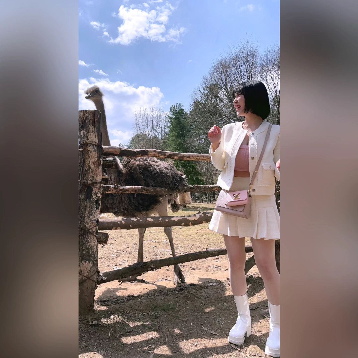타조 처음봐