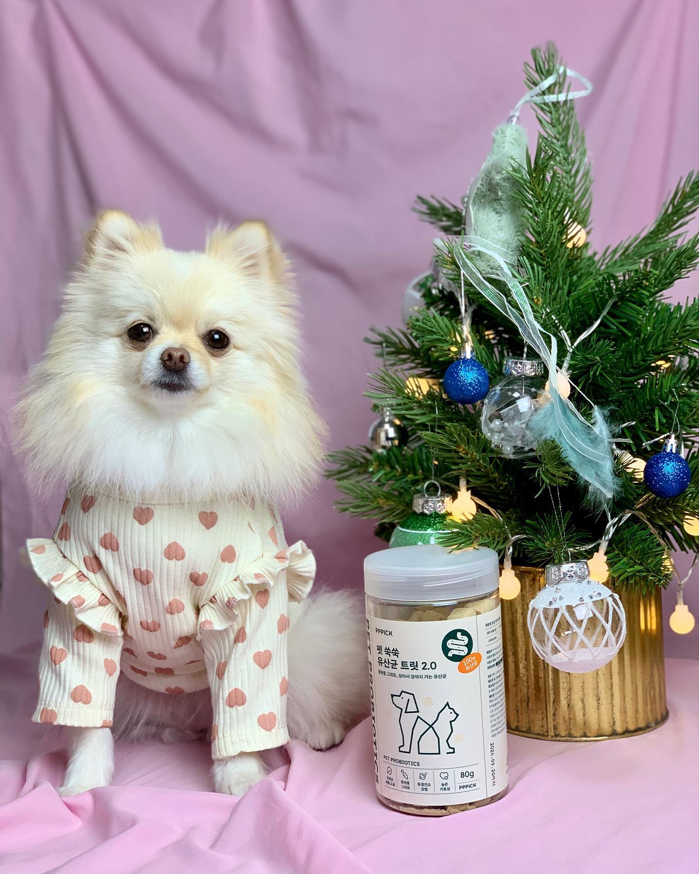 #협찬 🎄칭구들 메리해피크리스마스이브🎄

아직 선물 못 받은 칭구들 모여라! #피피픽 에서 나온 #펫쑥쑥유산균 보리가 먹어봤다멍🐶
다들 강아지에게 유산균이 중요하다는 건 알고있지❔김치에서 유래한 식물성 유산균을 사용해서 만들었다고해☺️

✔ 타 유산균 대비 2배 이상의 장내부착성 효과가 검증된 식물성 100억 김치유산균
✔ 식품의약품안전처로부터 최종 승인을 받은, 전세계 5개 회사만 제조 가능한 모유 올리고당(HMO)
✔ 100% 통원물의 영양소 섭취 극대화를 위한 증숙&동결건조 제조(유산균, 프락토올리고당, 비타민, 식이섬유, 오메가3 등)
✔ 국내산 제조, 인공원료 ZERO로 안심하고 먹을 수 있다고!

보리는 밥 잘 안 먹어서 밥에 가루로 해서 섞어 먹어봤는데 아주 그냥 맛도리라고요👍 #동결건조트릿 이라서 간편하게 먹을 수도 있어 아주 좋았어용

🎅12월 22일~25일까지, 4일간 진행되는 전제품 12% & 25% 크리스마스 할인쿠폰 증정 이벤트까지 만나러 가보자구요~! 

구매는 👉 pppick_official 

  #피피픽유산균 #강아지유산균 #강아지간식 #동결건조유산균 #강아지프로바이오틱스 #강아지먹방 #간식먹방