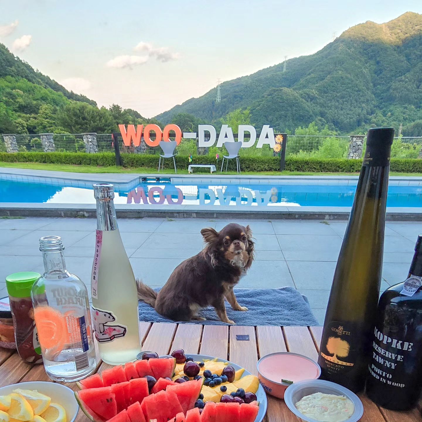 주말에 경기도 가평에 위치한 핫한 펜션🩷 우다다애견펜션에🐕 엄빠와 논누댕겨와쬬(*^ー^)ノ♪

서울에서 한시간거리라 접근성도 너무 좋고🫶 전에도 너무 좋았는데 새로 리뉴얼까지 해서😝 시설이 너무 깨끗하고 청결해서👍 너무 좋았옹ヽ(･ω･´)ノ

번호키로 안전하게 되있고🩵 들어가자마자 안전문으로 아이들 뛰처나감도 방지해주는😘 세심한 센스에 갬동(･ω･*)

넓은 스파시설과🌸 드라이룸까지 호텔같은 어메니티에🤭 완전 깜놀해짜낭( ﾉ^ω^)ﾉ

복층으로 올라가는 계단에도💚 아이들이 수월하게 이동할수 있게 애견슬라이드🐶 인공잔디 깔아둔거에 대박😳 놀랐옹(*ﾟ∀ﾟ*)

거기에다가💜 2층에 예쁜 원목하우스와 잘때 아이들 계단와따가따하면 위험한데😢 유리문으로 안전하게 막아줘서 안심하고😋 꿀잠자짜농v(^o^)

수영장도🏊‍♀️ 어찌나 넓고 깨끗한지 뷰도🌄 너무 좋아서 한참을 뷰멍하면서😀 힐링해쬬(ﾟーﾟ*)

썬배드에서🌞 썬텐도 하고 엄마꺼 탄이꺼 튜브도🤩 종류별로 다양하게 있고 구명조끼도 사이즈별로 다 구비되 있어서👍 씽나게 물놀이 즐겨찌롱ヽ(^∀^*)ﾉ

바베큐🍖 먹는데 깜빡하궁 쌈채를 안사왔능데😭 직접  키우신 쌈야채를🥬 주신 친절한 사장님 완젼 쵝오(*･∀･*)

서울에서 완전 가깝지💛 물놀이에 애견운동장까지🐕 최근에 가본 애견펜션중에 젤 좋았며👍 까다로운 울가족이 넘나 맘에 들어서🤩 여름 지나기전에 꼭 다시 놀러갈꼬라궁ヽ(･ω･´)ノ

http://www.woo-dada.com

경기 우다다애견펜션, 경기 가평군 가평읍 두밀리 335-8 우다다애견펜션

#우다다애견펜션 #가평애견펜션 #가평애견동반펜션 #가평애견풀빌라 #가평애견동반 #애견동반펜션 #강아지랑여행