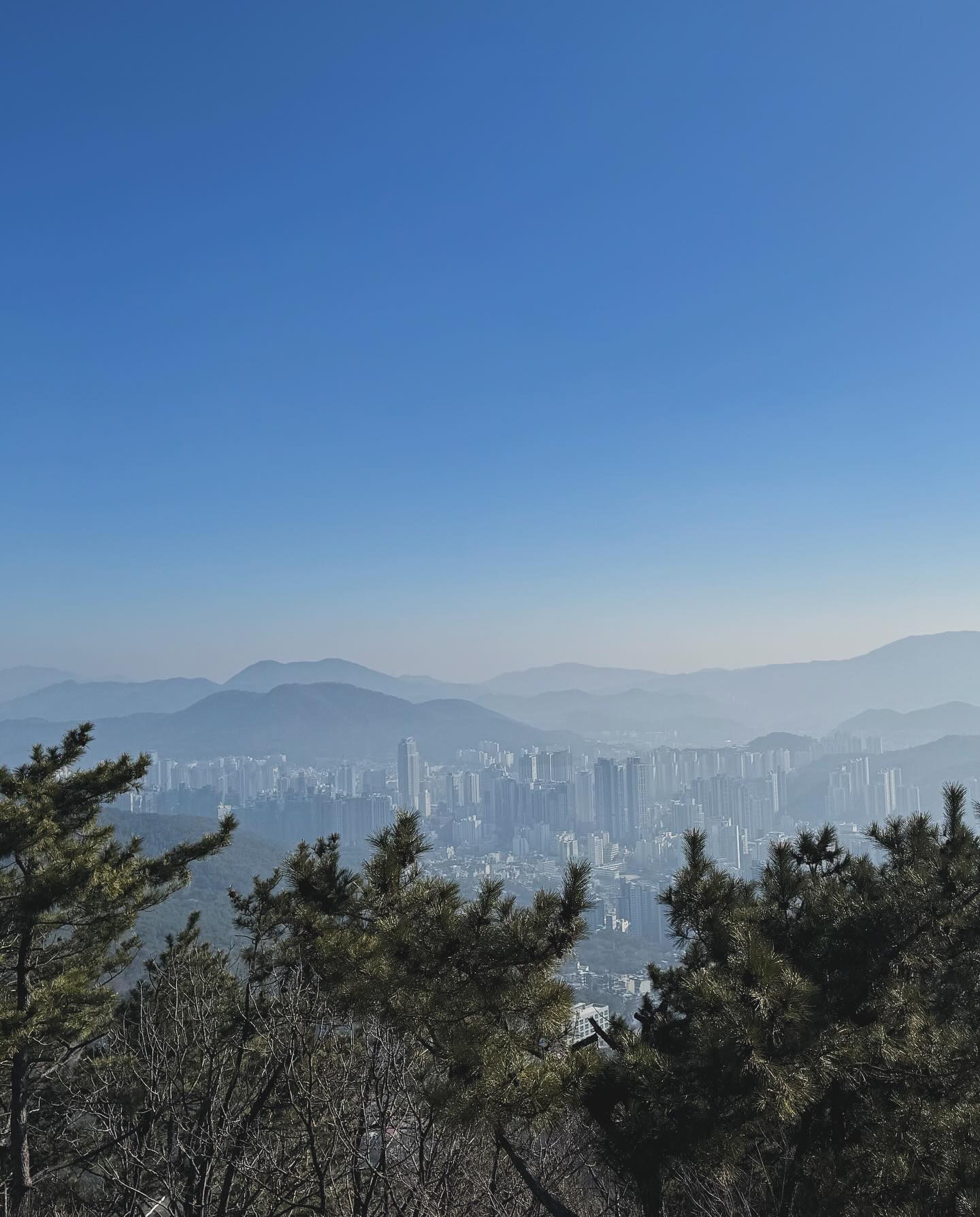 미세먼지는 있었지만, 성지곡수원지에서 금정산성 북문까지!!!
총 15키로 많이 먹고 많이 움직이기!!!
부산 진구에서 동래구, 북구 넘어 금정구 범어사까지 고고씽!!!
너무 힘들긴하다요!!!
즐연휴 모두 해피데이!!!
#즐설💕 #설연휴그램 #설연휴등반 #금정산성 #성지곡수원지🌿 
#금정산성남문 #금정산성동문 #금정산성북문 #고당봉 #원효봉 
#부부등반❣️ #부부스타그램 #등반스타그램 #등산하기좋은날 
#등산하기 #신랑님과함께❤️ #어린이대공원부터 #금정산성까지등산 
#총15km #등산은사랑입니다❤️ #등산그램 #부부등산그램 
#맞팔해요💕 #맞팔환영🙌💕 #서이추환영❤️ #서이추🌸