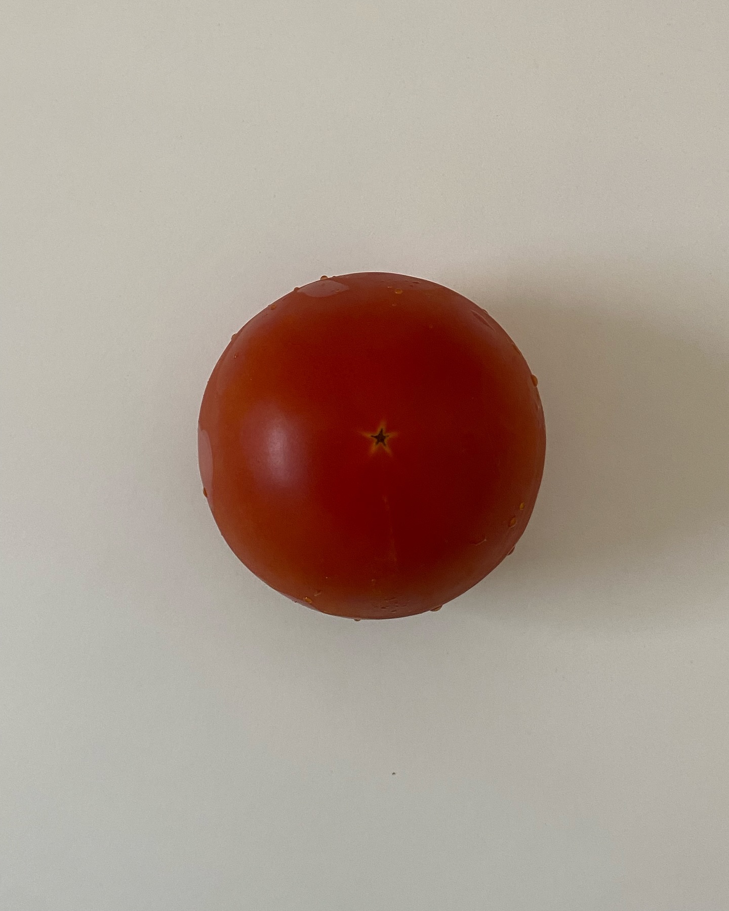토마토별✮