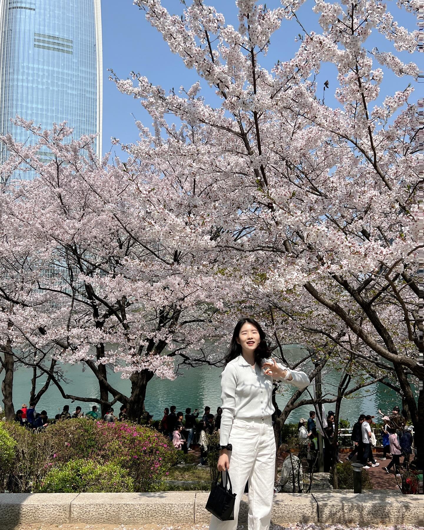 2024년 벚꽃은 석촌호수에서 🌸
.
.
.
.
.#벚꽃털이범 #벚꽃구경 #석촌호수 #부은얼굴