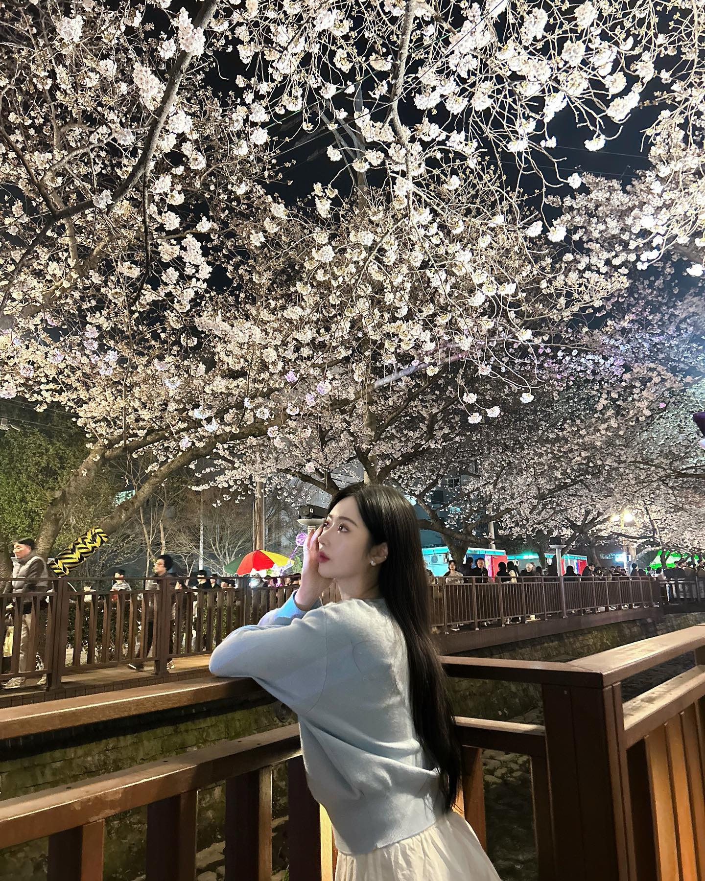ꕤ 진해 꽃놀이 ꕤ