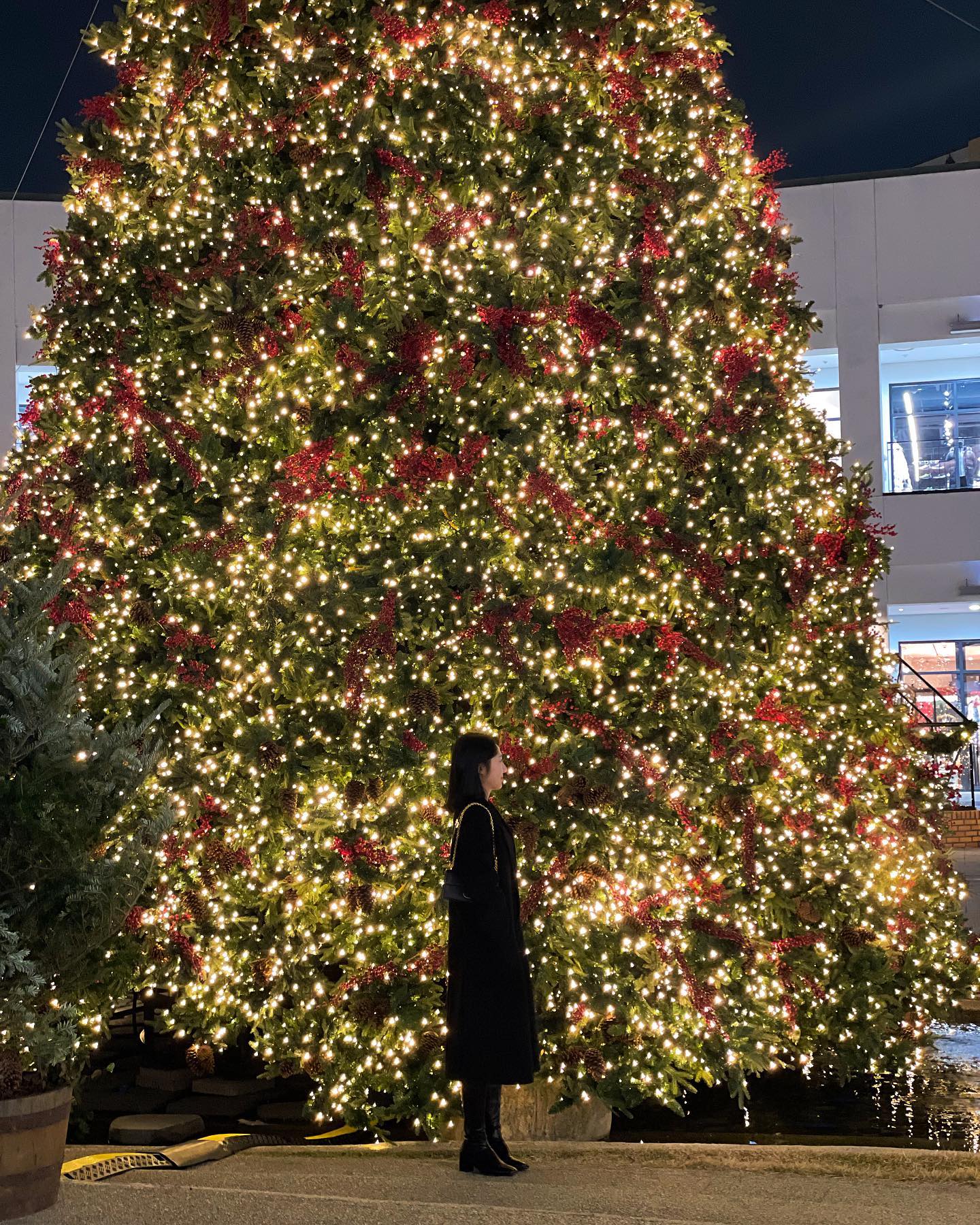 오늘부터 한달동안은 캐롤이다 🎄❤️