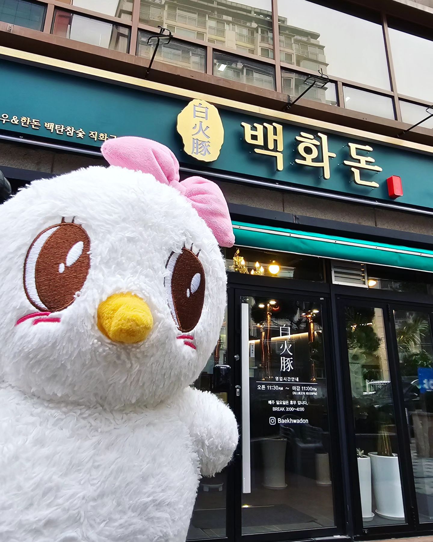 #협찬 #백화돈 #백화돈구로본점 
.
구디고기맛집 백화돈
서울시 구로구 디지털로32가길 25 (구로동, 티타운빌딩) 1층 102-2호
.
🐷 48시간 건조숙성시킨 무항생제 한우와 한돈을 강원도산 백탄 참숯에 직원들이 직접 그릴링해주시는 맛집이에요
.
🐷 같이 나오는 우렁쌈장 JMT! 한우된장찌개도 추천드려요 밥도둑이에요🍚🍲
.
🐷 꽃목살의 부드러운 식감과 고소한 맛으로 구디역 직장인들을 사로잡은 백화돈입니다
.
#구디맛집 #회식 #고기 #구디역맛집 #구로디지털단지맛집 #구디고기집 #구로디지털단지역맛집 #리뷰노트 #리뷰노트체험단