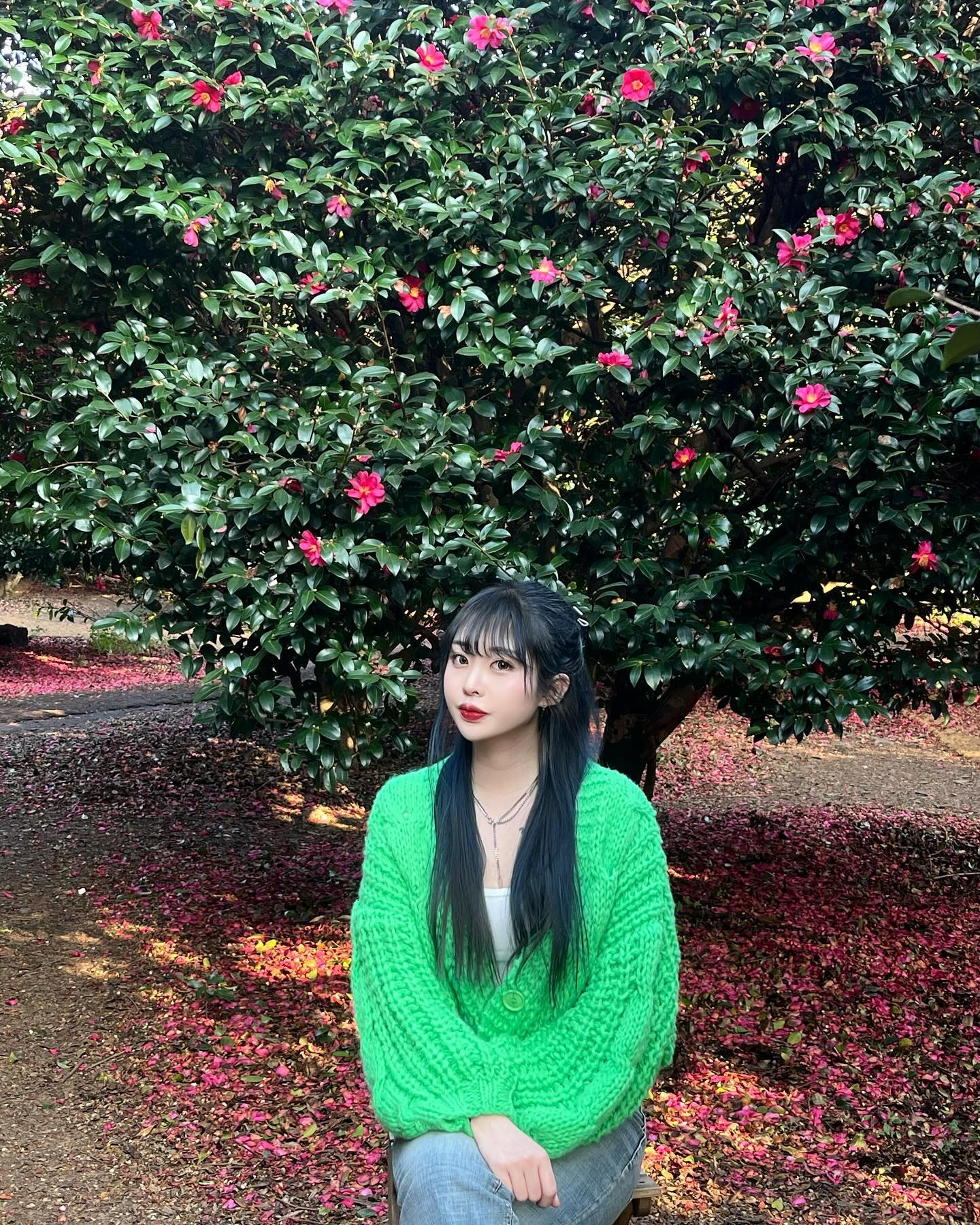 🌺