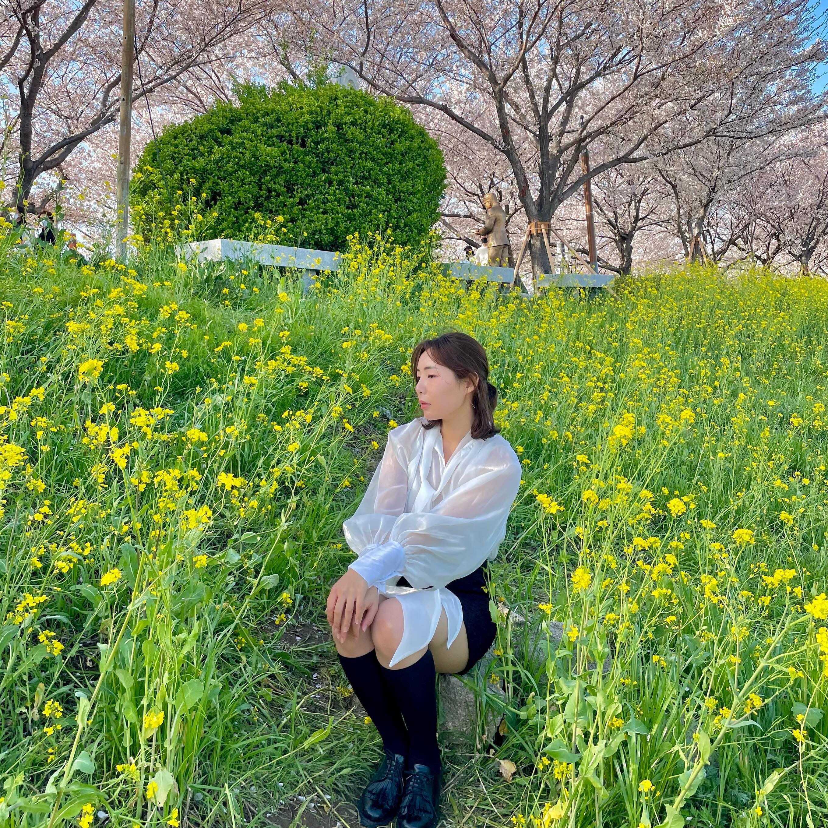 미리 봄🌸💛