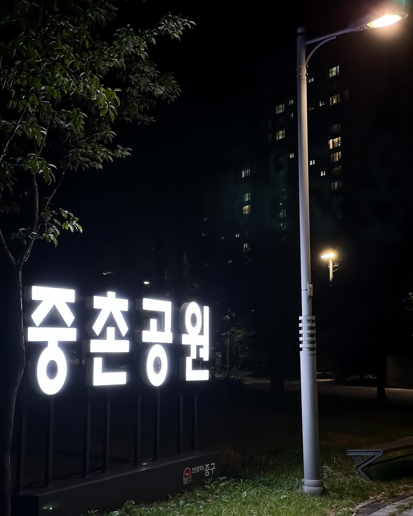 실제로보면 더 예쁜데..😁
걷다보면 문득 문득 예쁜 시야들이 들어오길래,
하나하나 남겨보려구요