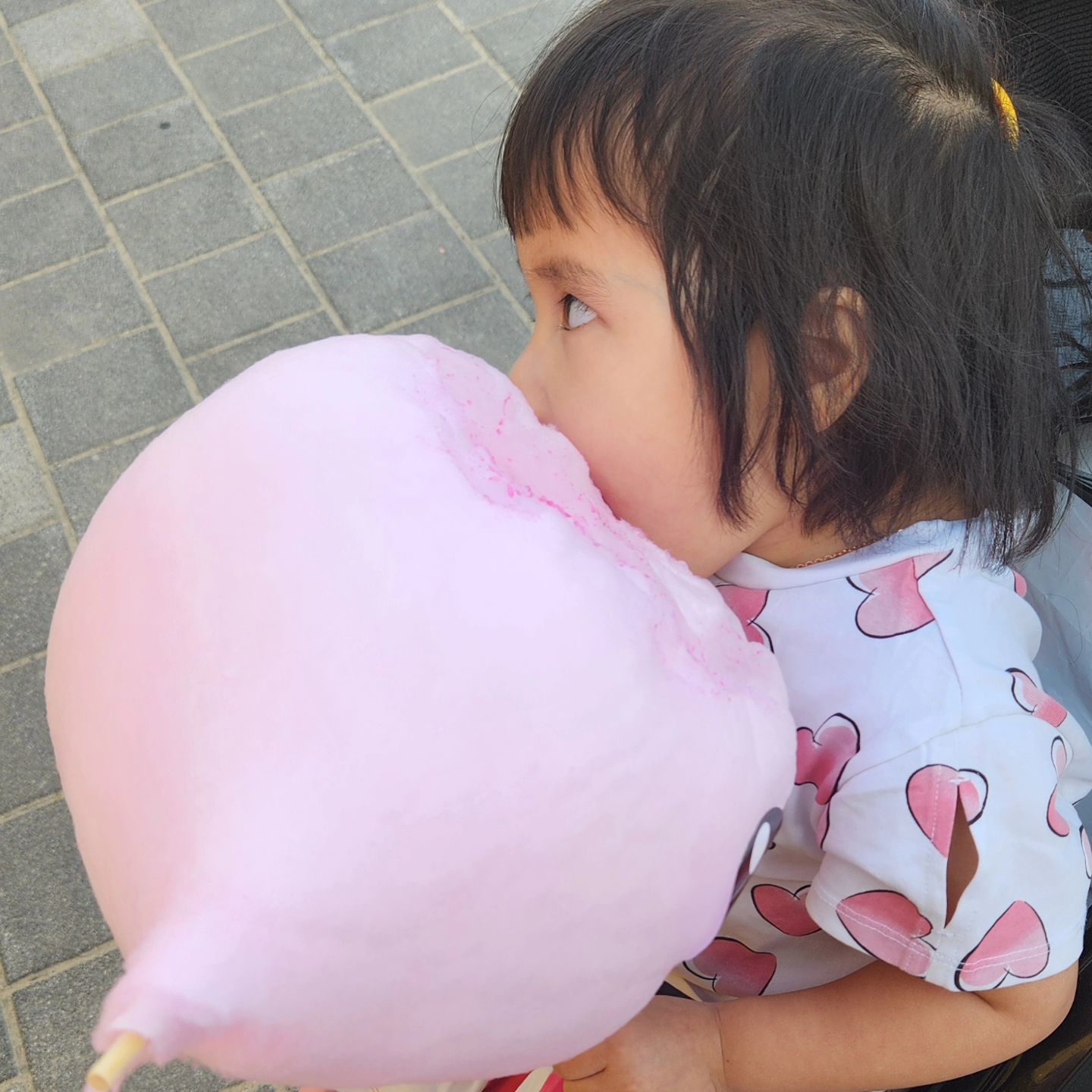 #솜사탕 ♡♡#하자매👭 #솜사탕에진심인편🍭 #집으로고고~~~♡♡할부지 집으롱~~♡♡