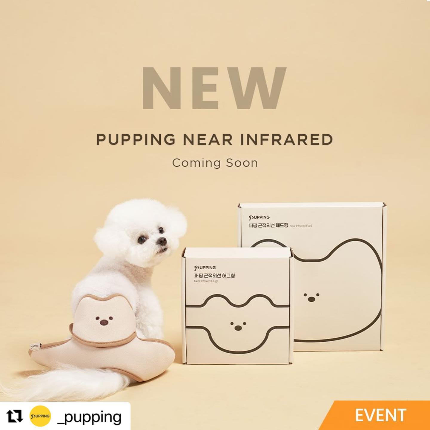 #Repost _pupping with use.repost
・・・
.
💛퍼핑 근적외선 출시 임박💛

퍼핑하면 매트, 매트하면 슬개골탈구 예방이죠?
관절케어에 진심인 퍼핑에서 근적외선 제품을 출시합니다📢

✔허그형과 패드형 2가지 타입
✔슬개골탈구 예방
✔허리디스크 완화
✔귀여운 디자인...🐻

#근적외선 제품 출시 임박, 소문내기 리그램 이벤트를
진행하오니 많은 참여 부탁드립니다!😉💛

✨참여방법:
① 퍼핑(_pupping) '팔로우'
② 해당 게시물 '좋아요' 및 '신청 댓글'
③ 게시물 리그램 필수!
#퍼핑 #강아지근적외선 #리그램이벤트 #퍼핑이벤트 #퍼핑근적외선

✨이벤트 기간: 2023년 11월 15일 (수) - 11월 29일 (수)
✨당첨자 발표: 2023년 12월 01일 (금)
✨이벤트 경품: 퍼핑 근적외선 1명/노즈워크 3명