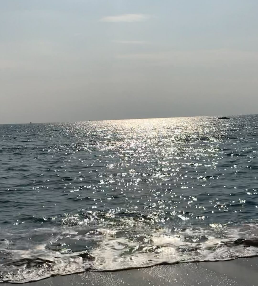 #제품협찬 가볍게 걸치기 좋은 레더 바시티 자켓  요즘 내 교복 ,, ♥♥
standarderror_official
