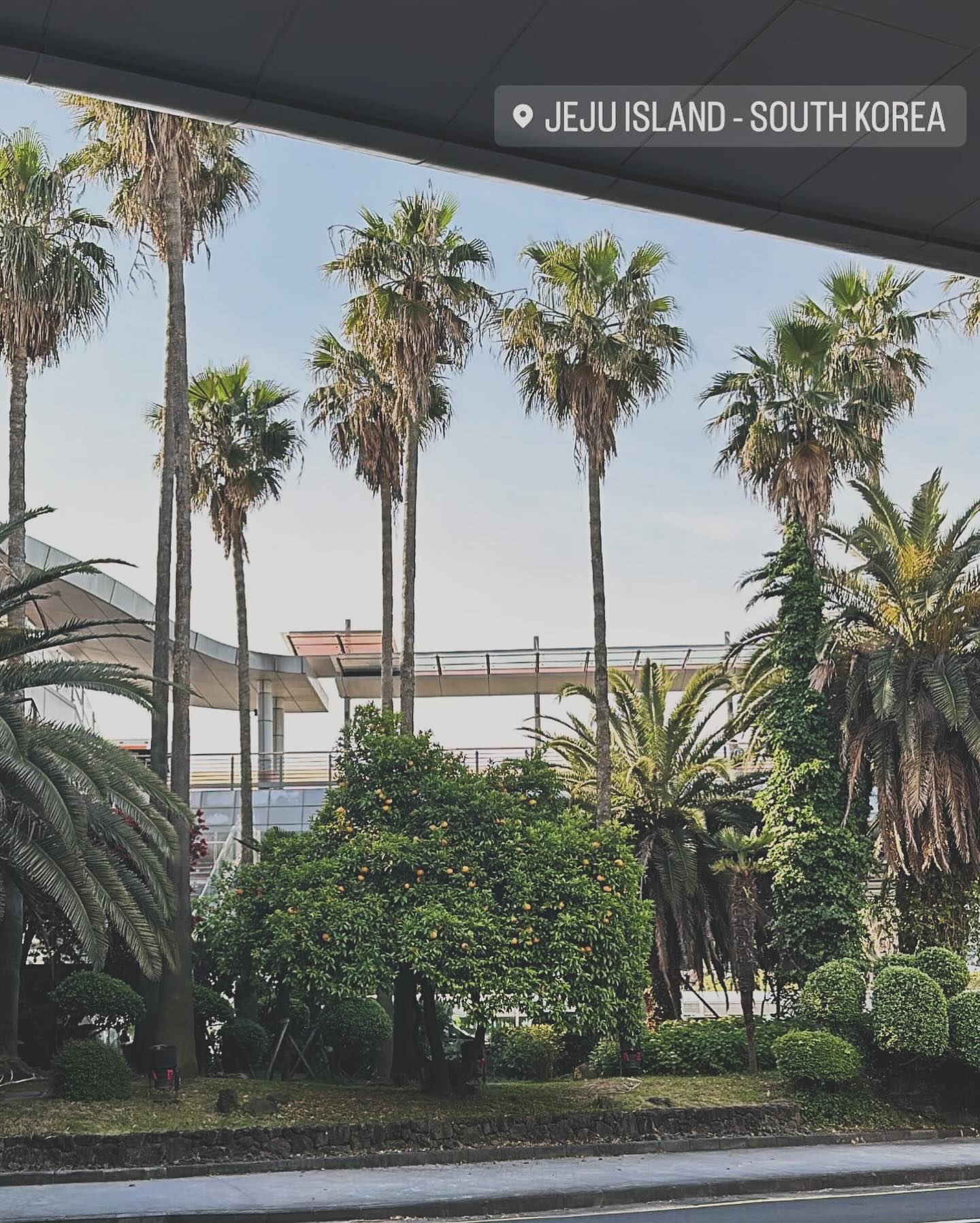 제주 ••• 🌴