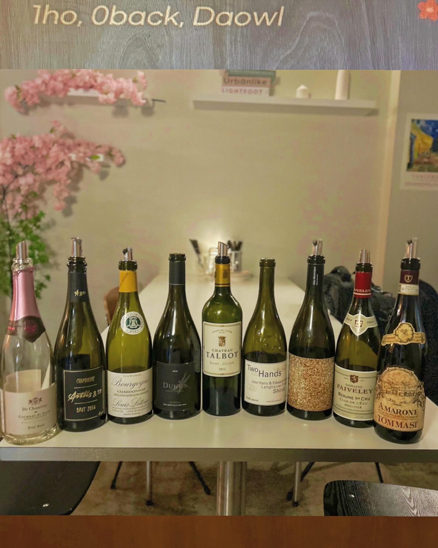 🍾🥂🍕🥩🥘🥗🍝🍷
샴으로 시작해서 아마로네를 끝으로!
이모티콘으로 남기는 그날의 와모❤️