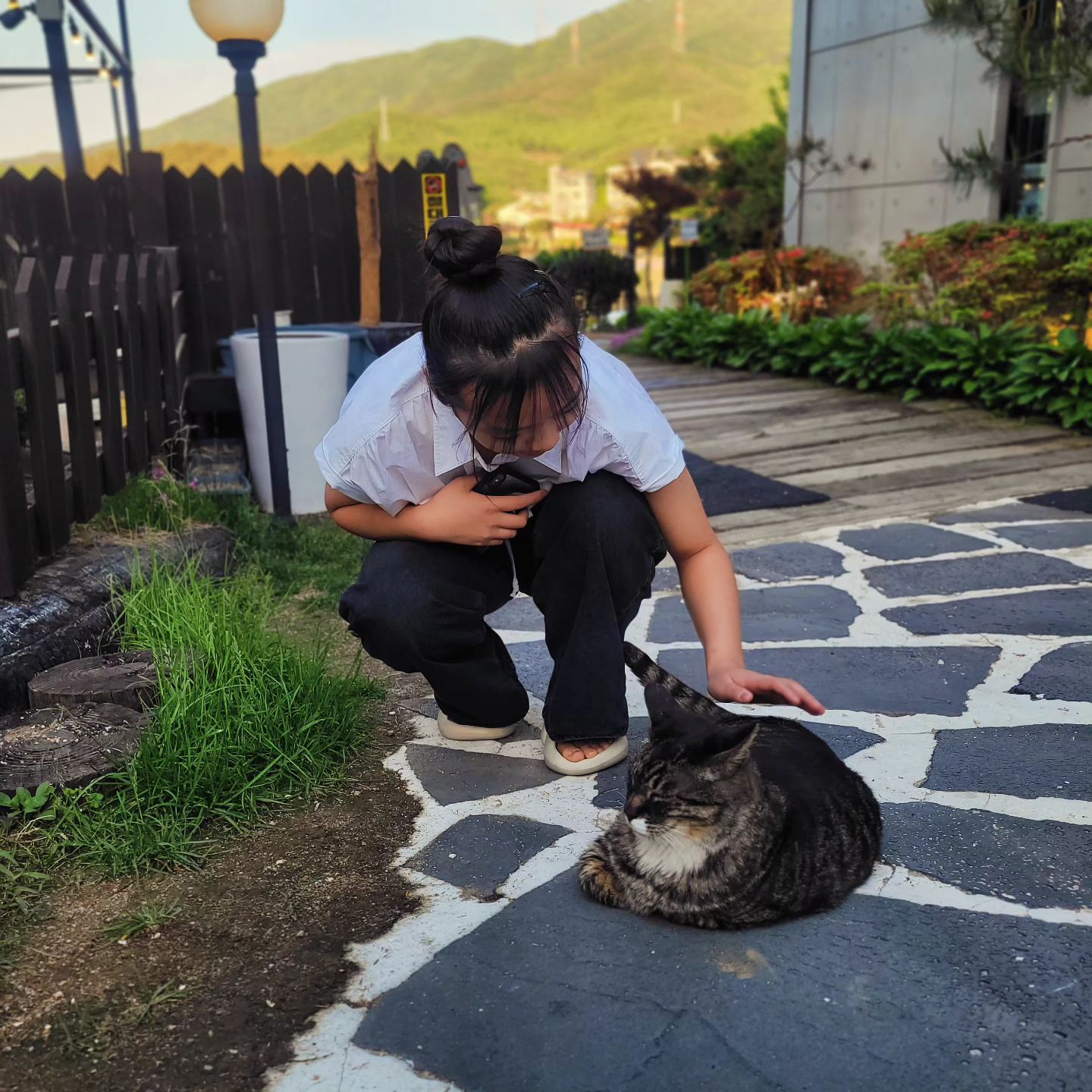 사람이 가면 딱 나와서 옆에 앉아 만지라고 ㅎㅎ
한걸음 가면 또 옆에 와서 앉고 
너무 이뽀!!!

#고모리691카페 #예쁜냥이