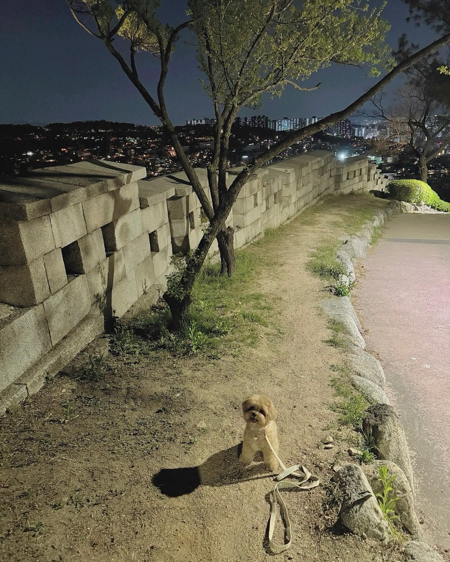 설레는 봄밤의 공기 🫧