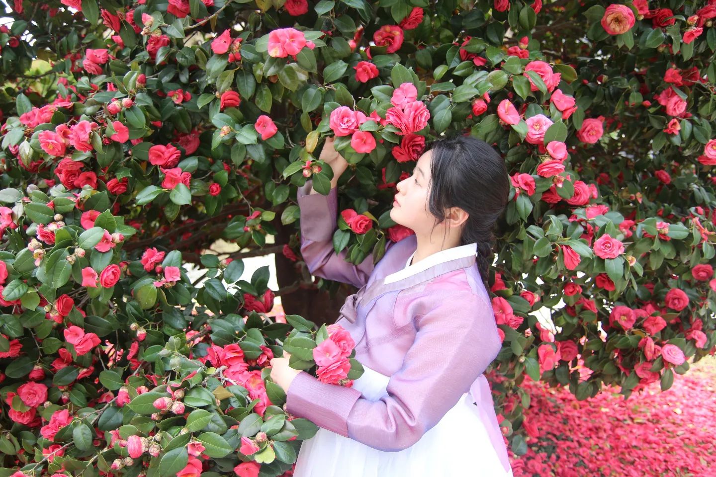 촬영문의 환영합니다 🙆🏻‍♀️ 
내가 찍은 사진은 언제올리지..

📷 : 캐논 eos 100d + 탐론 17-55

#인물사진 #캐논 #캐논100d #풍경 #탐론1750 #탐론 #좋반 #fff #맞팔 #선팔 #선팔하면맞팔 #동서대 #부산 #온천천 #좋아요반사 #50mmf18 #캐논1855mm #벚꽃 #스냅사진 #사진 #사진계정맞팔 #사진스타그램