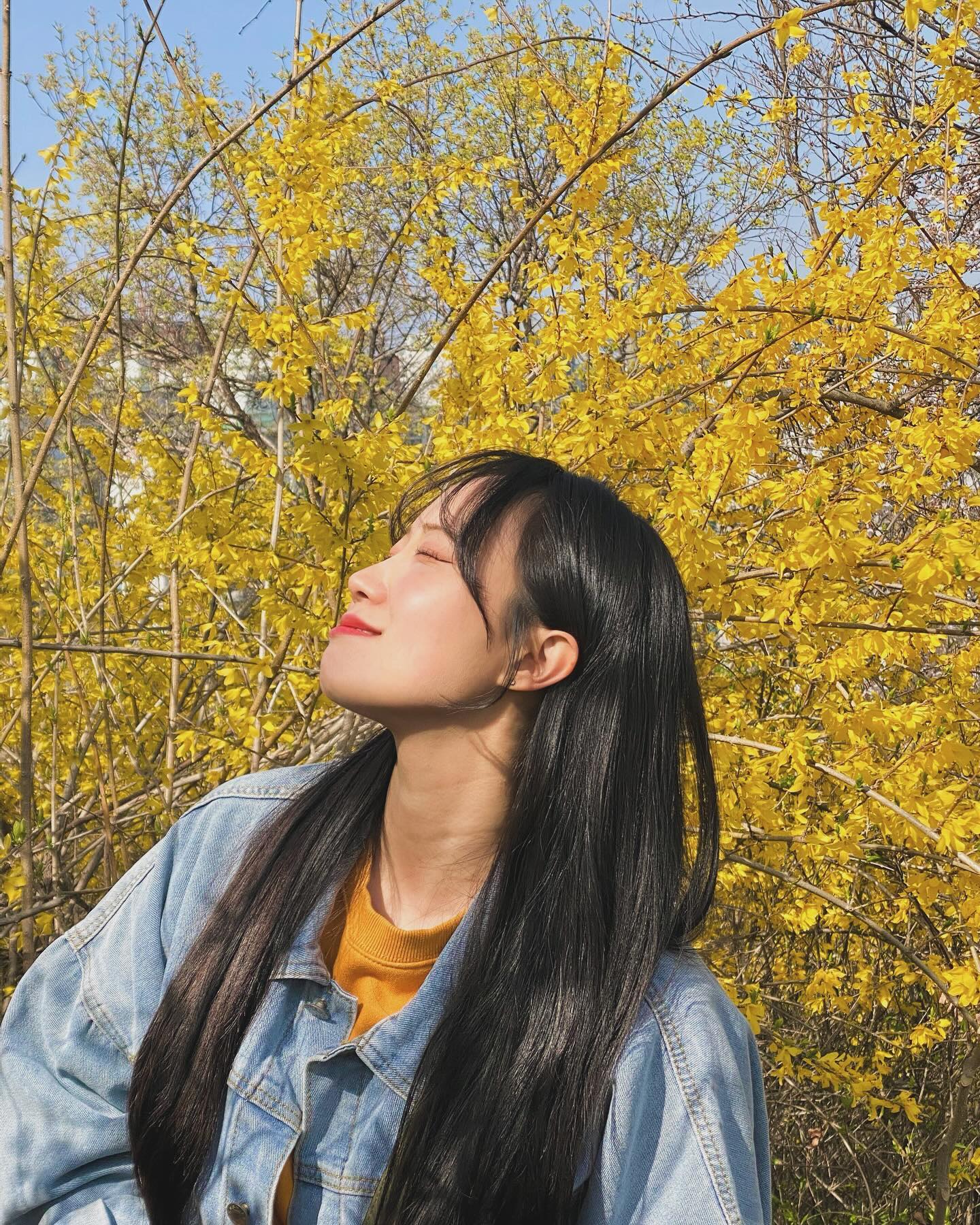 ❗️정보는 글 하단❗️
작년에 무려 3번이나 갔던 응봉산을 올해도 갔다!
이번에는 서울숲과 연결해서 길게 걸었다 ㅎㅎ
아침 일찍 안갔더니 사람 정~말 많았고, 사진 찍기 힘들다 ㅜㅜ
마치 사진 찍는 내가 민폐러처럼 보일 지경 ㅠㅠ
울타리 없는 안쪽, 배드민턴장쪽 계단은 사람 거의 없어 찍기 좋음!
지금 만개에서 며칠 지난 느낌이지만 그래도 만개수준!
작년 경험 생각해보면 이번주 주말은 점점 연두빛이 좀 있을 듯 하다,,!
가성비좋은 응봉산,,, 간만에 사람 구경 잔뜩 해따

-

✅ 서울 응봉산(81m)
🗓️ 방문 : 24.03.31(일)
⛳️ 코스 : 응봉역1출>전망휴게소>팔각정(정상)>배드민턴장>용비교>서울숲
🏃🏻‍♀️거리 : 약 3km이내
⏳ 시간 : 2시간 이내(13:00~14:00) / 놀면서
🌡️ 날씨 : 맑음(최고기온 18)
🚽 WC : 중간에 응봉산팔각정 개방화장실 1개 있음, 들머리 역 내 해결
🚘 교통 : 대중교통_응봉역 / 주차_응봉역 공영 주차장
🛒 매점 : 없음
⚠️ 기타 : 야경 유명, 초반 아스팔트 경사 빡셈, 무조건 일찍 갈 것