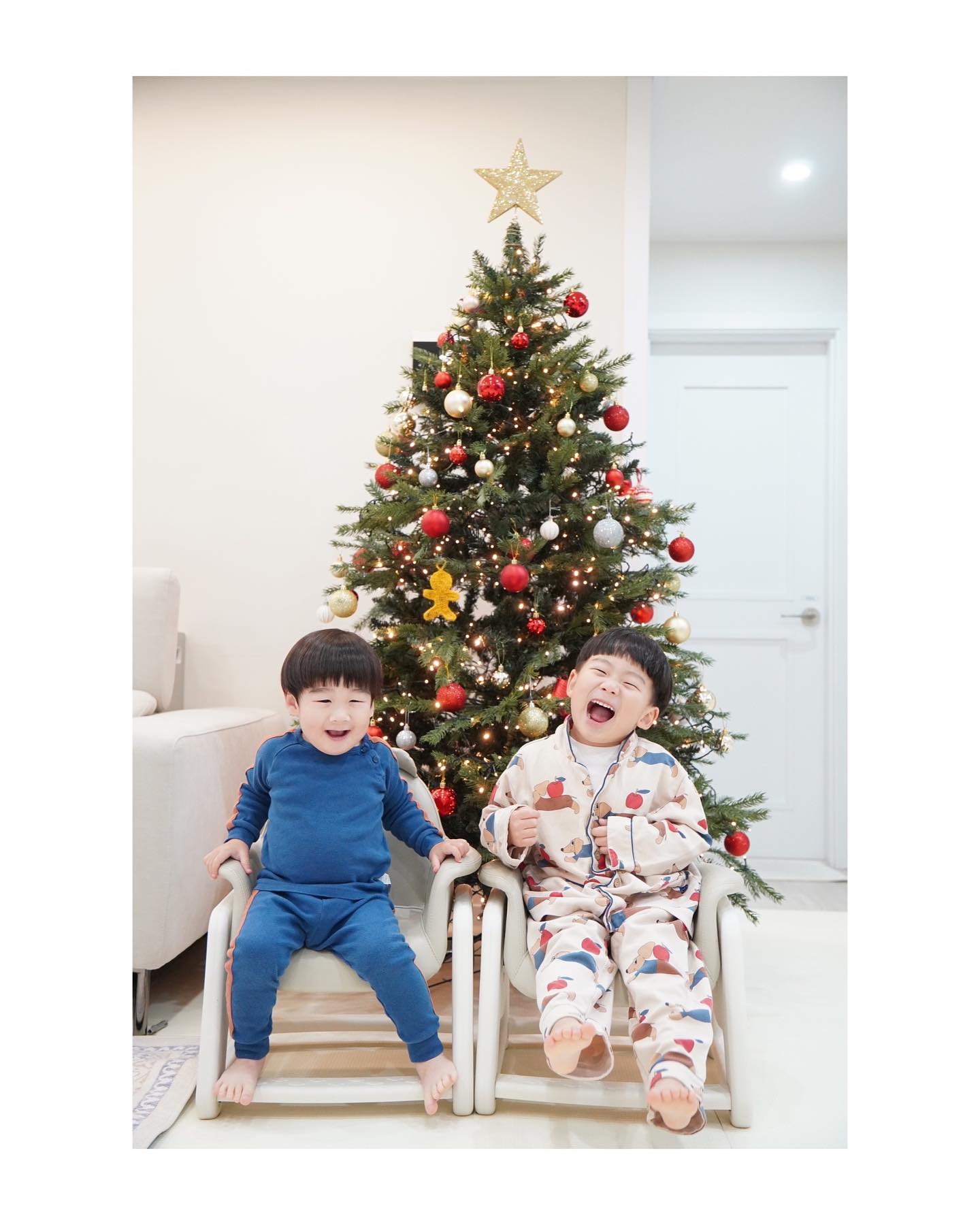 🎄