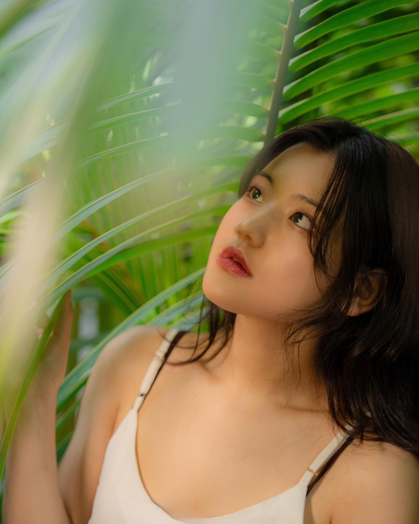 I am still Green, 2024

P heedam_p
