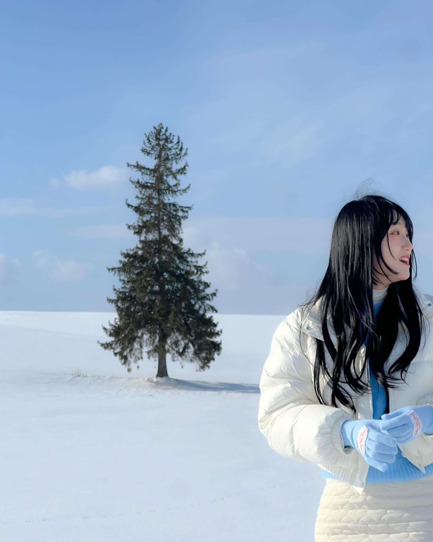 비에이 메인 크리스마스트리🌲
