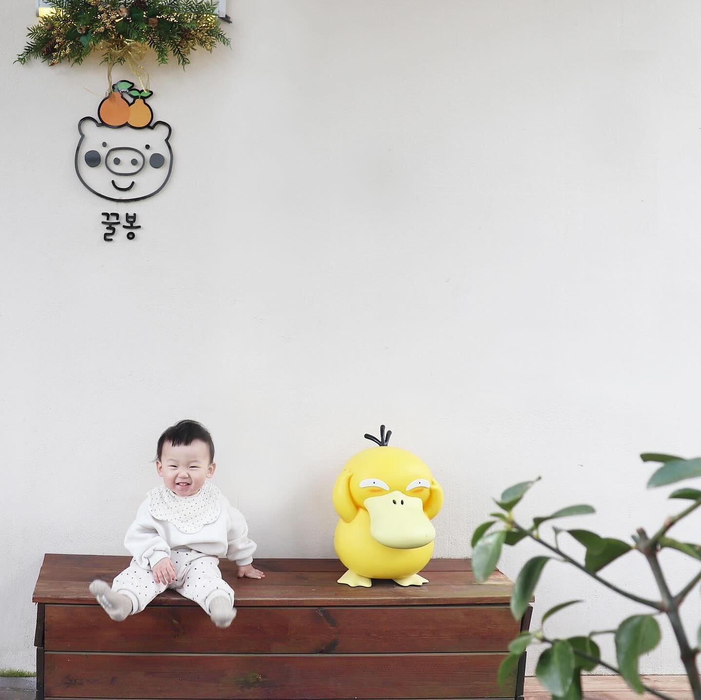 🎞️ 제주 꿀봉 한림본점 

백종원의 골목식당 in jeju편 서바이벌 1등으로 선발됐던 곳 📝

펜션에서 먹으려고 포장하고 꿀봉 문옆에서 미르둥 사진 담기 🤍

닭강정 아니고 돼지강정이라 궁금해서 메모해 뒀다가 방문했어요
잡내없이 바삭하고 소스가 깔끔한게 맥주안주로 딱이에요 !

제일 내스타일...원픽 꿀봉강정 맛 ..달달한데 계속 손이가유.. 🧡
숙소에서 야식으로 먹었는데 제일 먼저 다먹었지유.. 🫣

가격도 착하고 맛있었어유 ..🧸

➰️ 세가지맛 세트 21,000원 (한가지맛 7,500원)

🏡 제주 제주시 금악리 2124-3
⏰️ 11:00 ~ 18:00
☎️ 0507-1441-2210