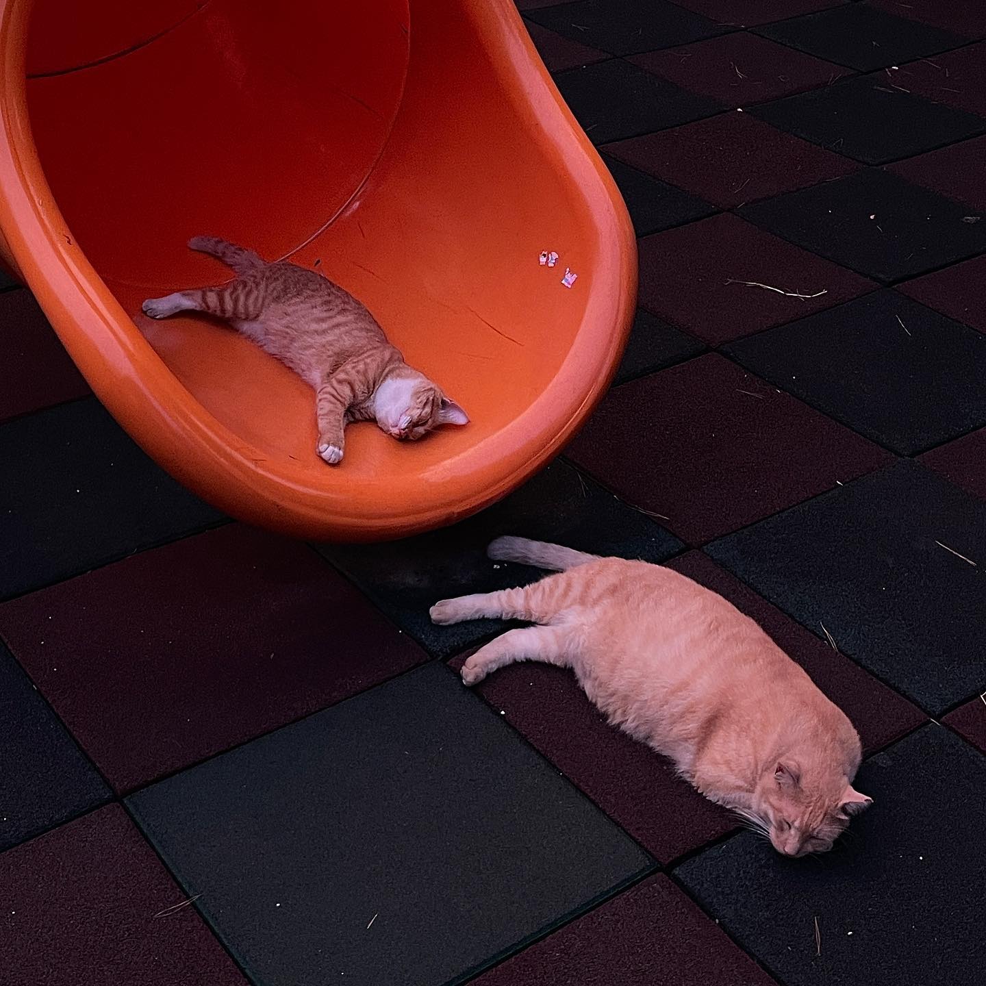 무해함