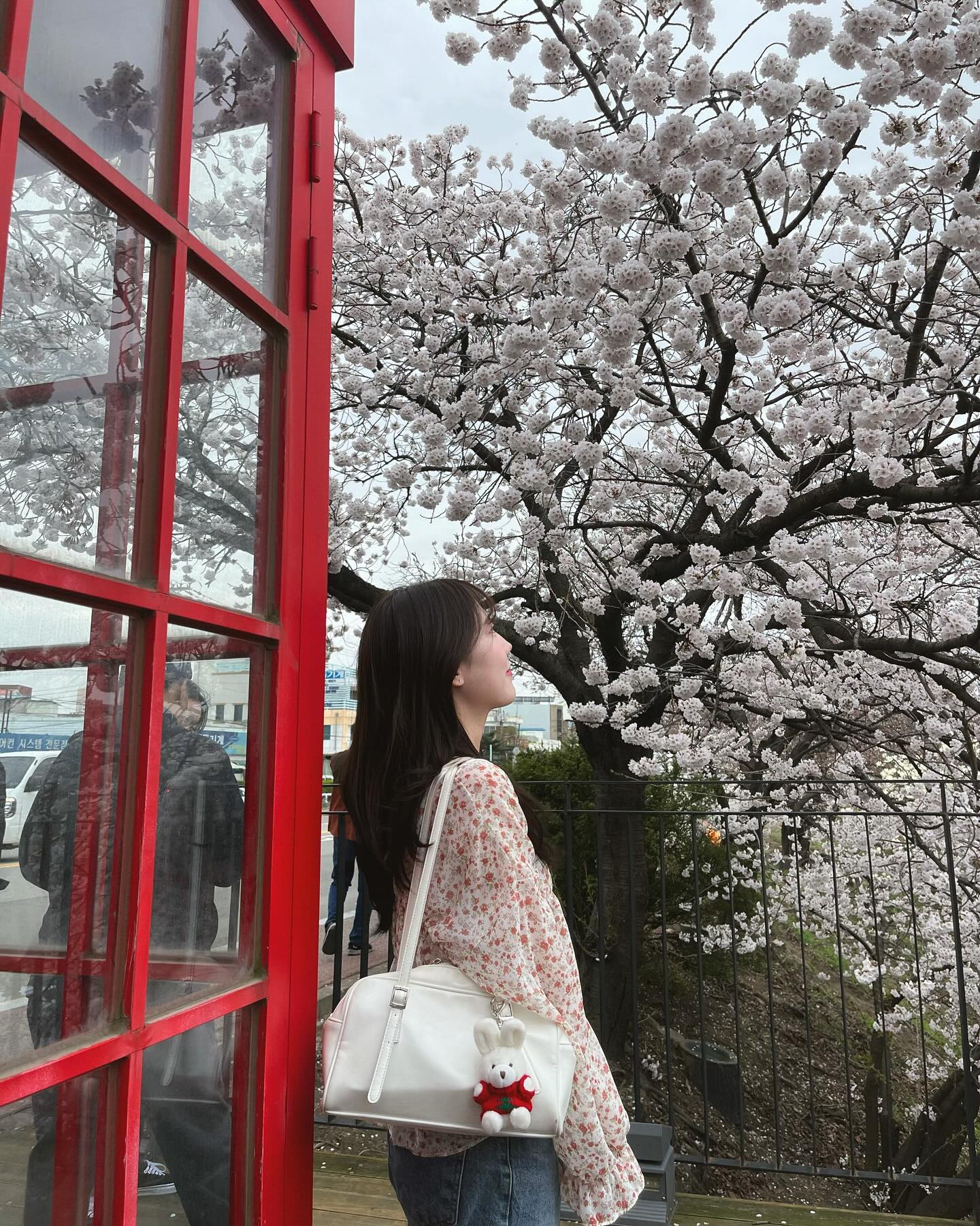 내가 젤 좋아하는 벚꽃..🌸