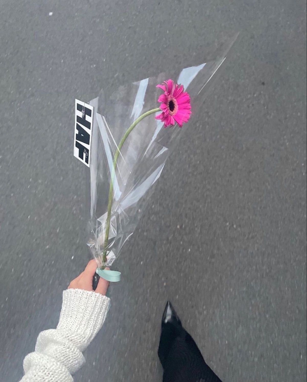 New autumn 💗