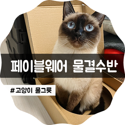 고양이 투명 물그릇, 음수량 늘리기 좋은 페이블웨어 물결수반