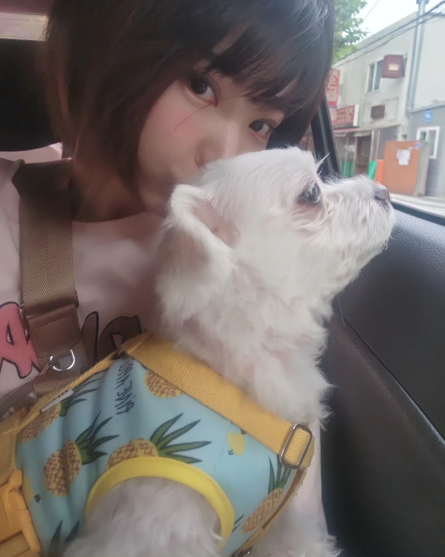 인간의 열정은 가능성의 세계를 꿈꿀때 자라나고 현실에 부딪힐때 꺾인다.

요즘 시우는 인생 리셋 중!!

#역행자#부자아빠가난한아빠#도파민형인간

최근 읽은 책들인데 많은 도움이 됬어요~
시우가 추천 하는 책 이에요~ 읽으신 분들도 많겠지만 안읽어보신 분들에게 강추♡