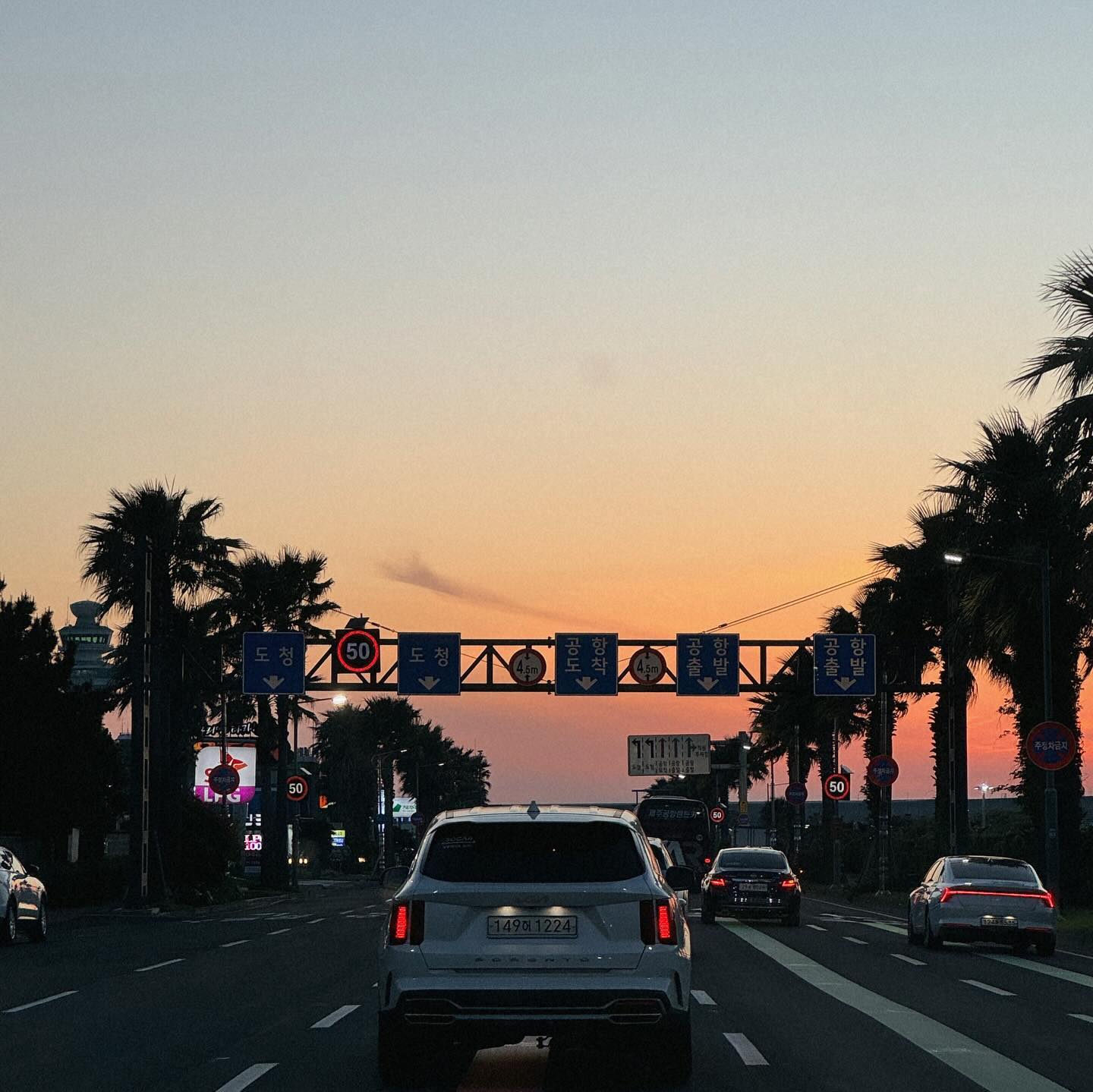 여기가 제주야, 캘리야 🏝️💚🌅