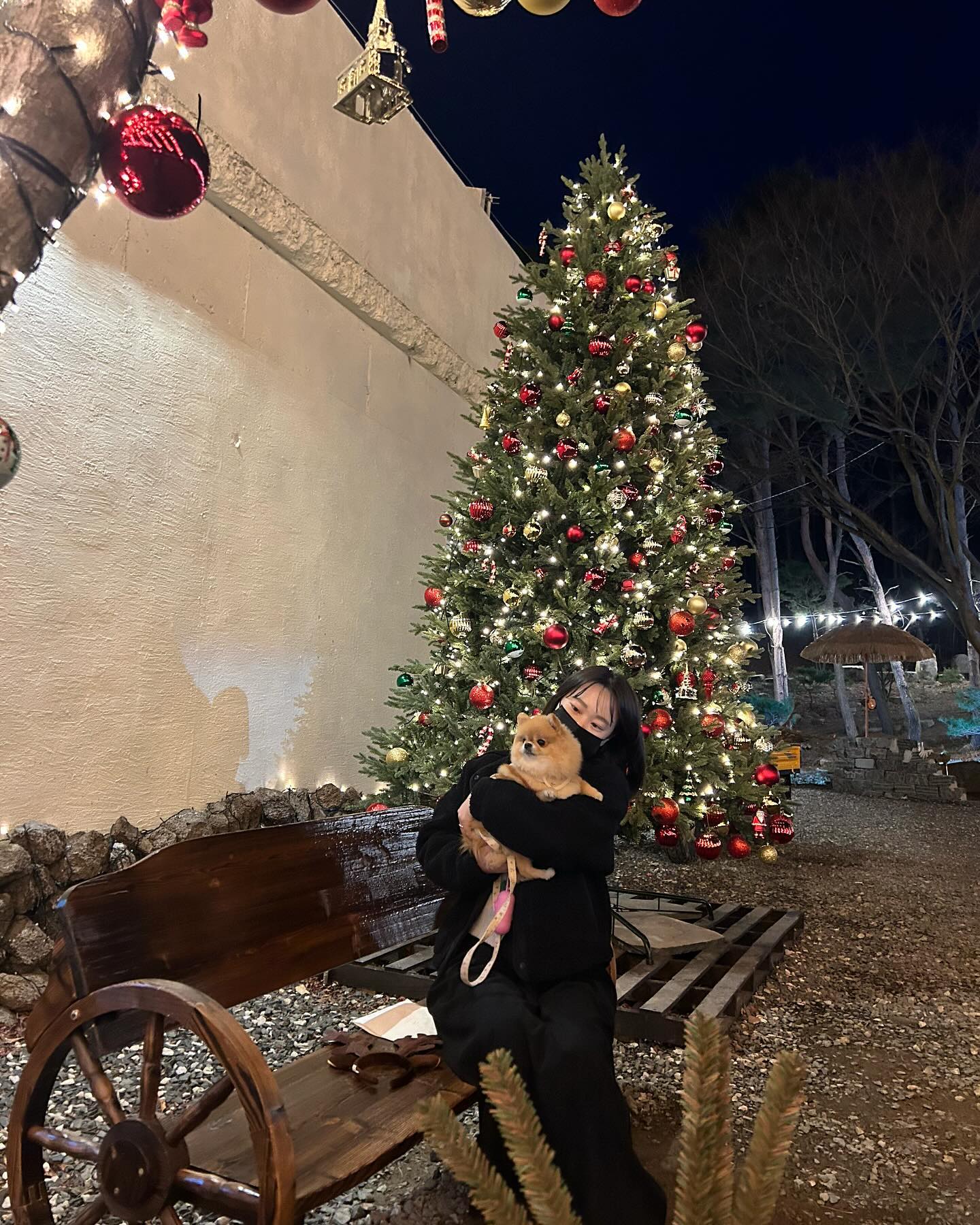 유독 올해 많이찍은 🎄