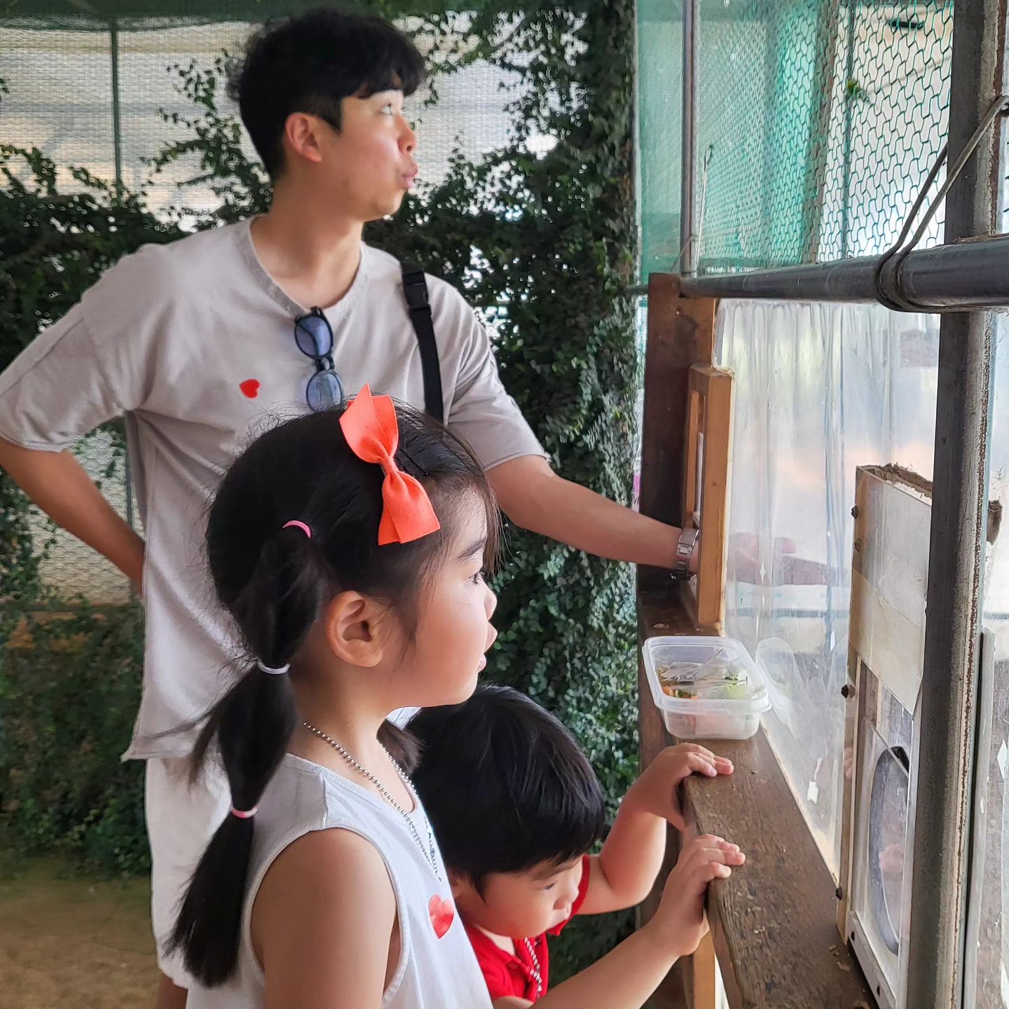 채우가 견학 다녀온거 보고서 자기도 동물 먹이주고싶다고~ 주고싶다고 가자고~~가자고 아주그냥 낸리
덕분에 잘 놀다왔지모 8천원의 행복 
#부천나눔농장 🐸🐰🐶🐣🐛