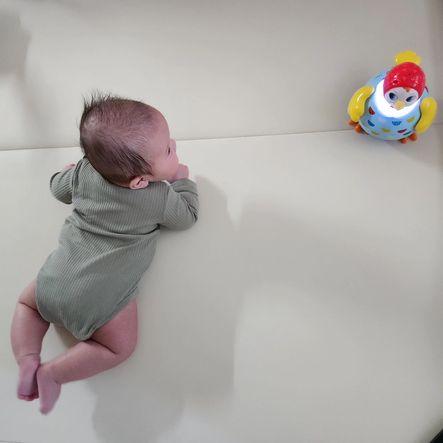 드디어 #꼬꼬닭  보는 울 아가 🐔
이제 장난감에 관심이 생긴건가? 

#3개월아기 #104일 💟
