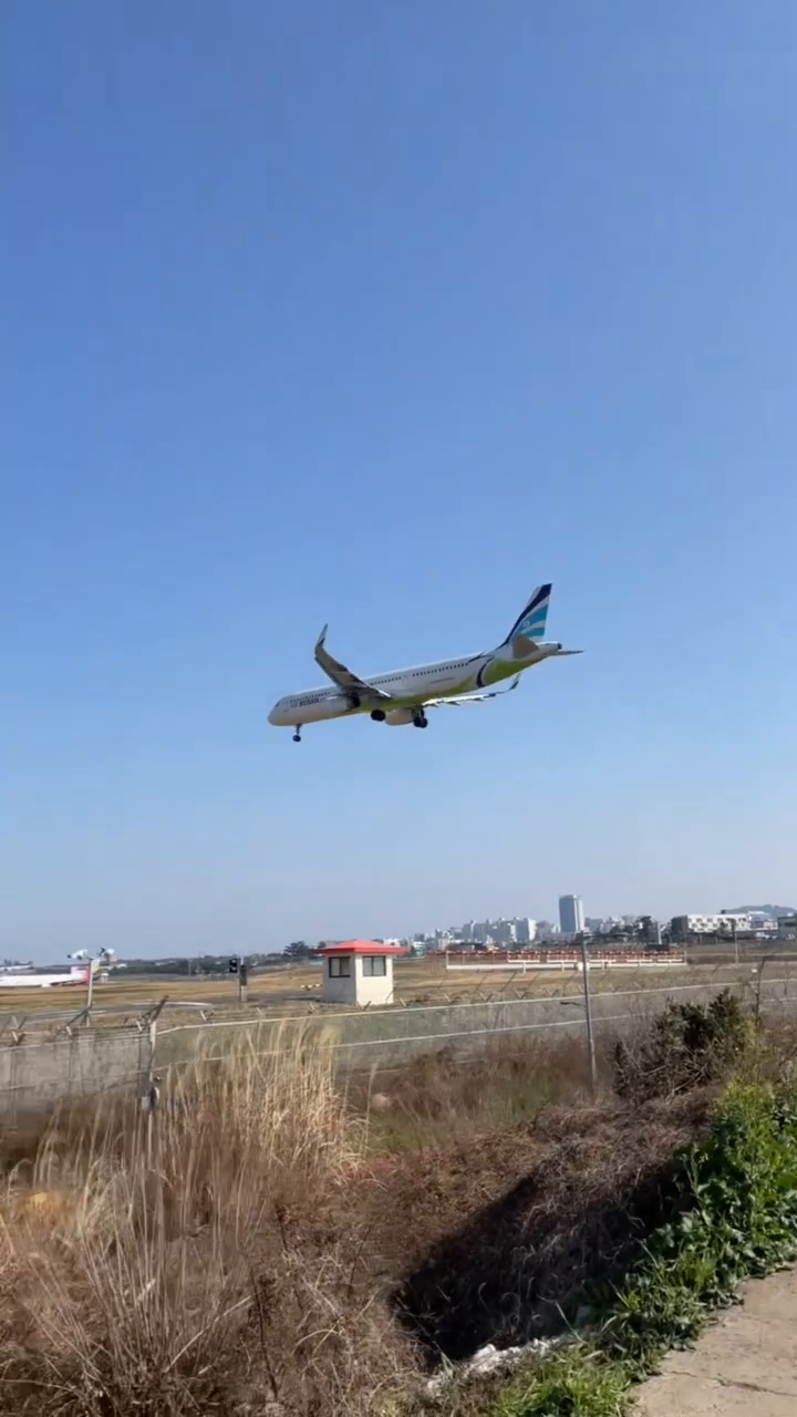 콘텐츠