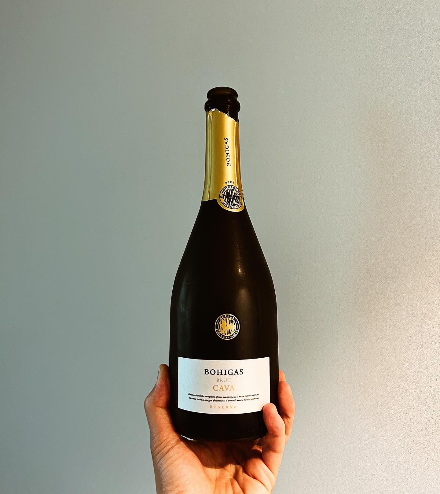 #와인기록

📌 Bohigas, Reserva Cava Brut
[ 보히가스, 리제르바 까바 브뤼 ]

생산 ; 스페인 > 페네데스
품종 ; 마카베오, 빠레야다, 제랄로
시음 ;
- 옅은 골드색
- 청사과, 레몬, 라임 등의 시트러스
- 은은한 꽃향, 살짝의 토스티함
- 단 맛은 거의 없고, 약한 버블감

한 줄 요약 : 일단 보이도록 보히가스 까바를 까봐!

* 개인의 주관적 의견으로 해당 와인 전체에 대한 평가는 아닙니다.

cavesbohigas